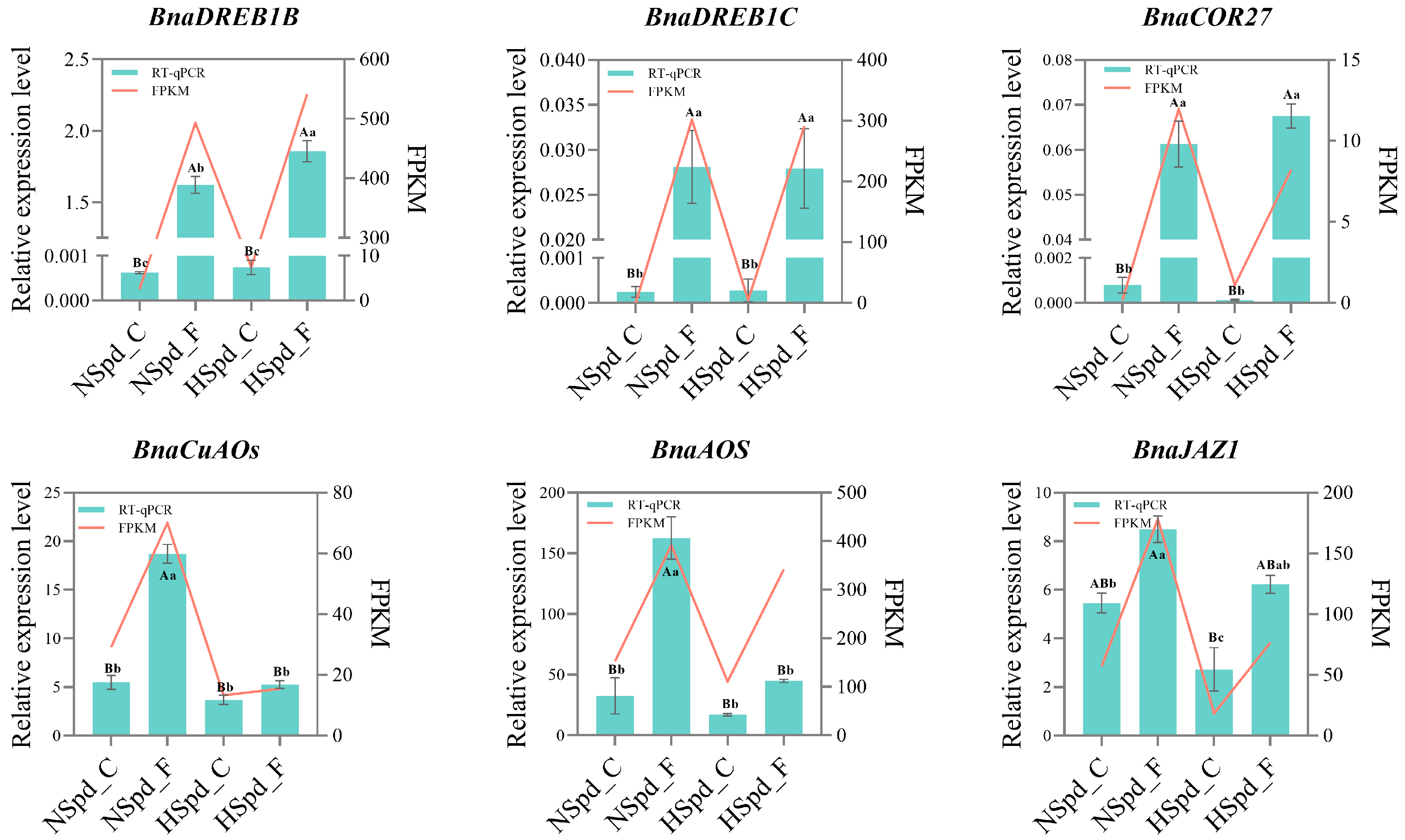 Antioxidants 13 01032 g010