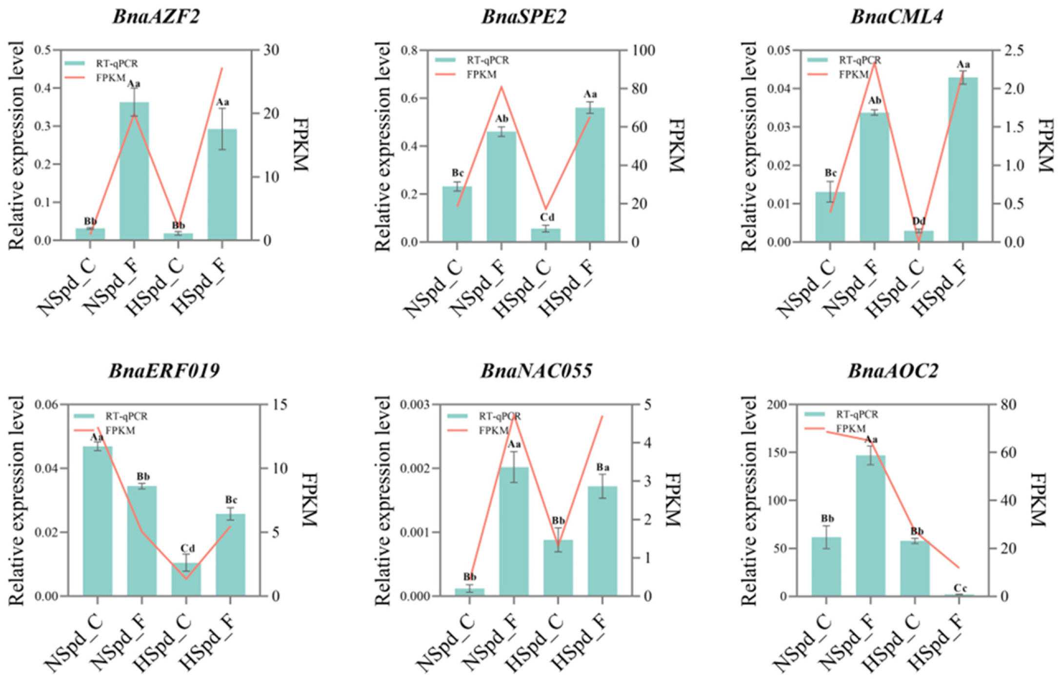 Antioxidants 13 01032 g0a2