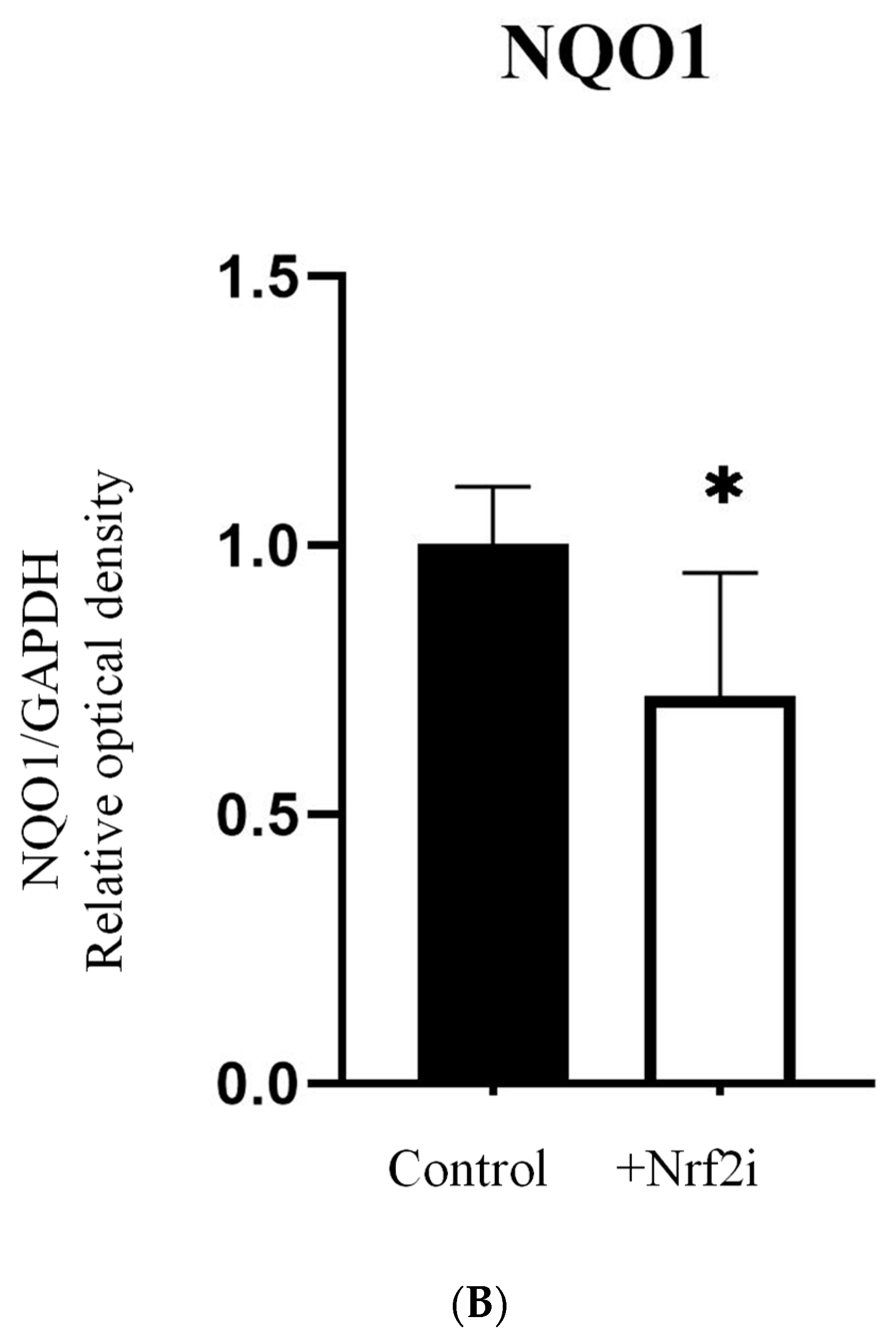 Antioxidants 13 01035 g002b Antioxidants 13 01035 g002b