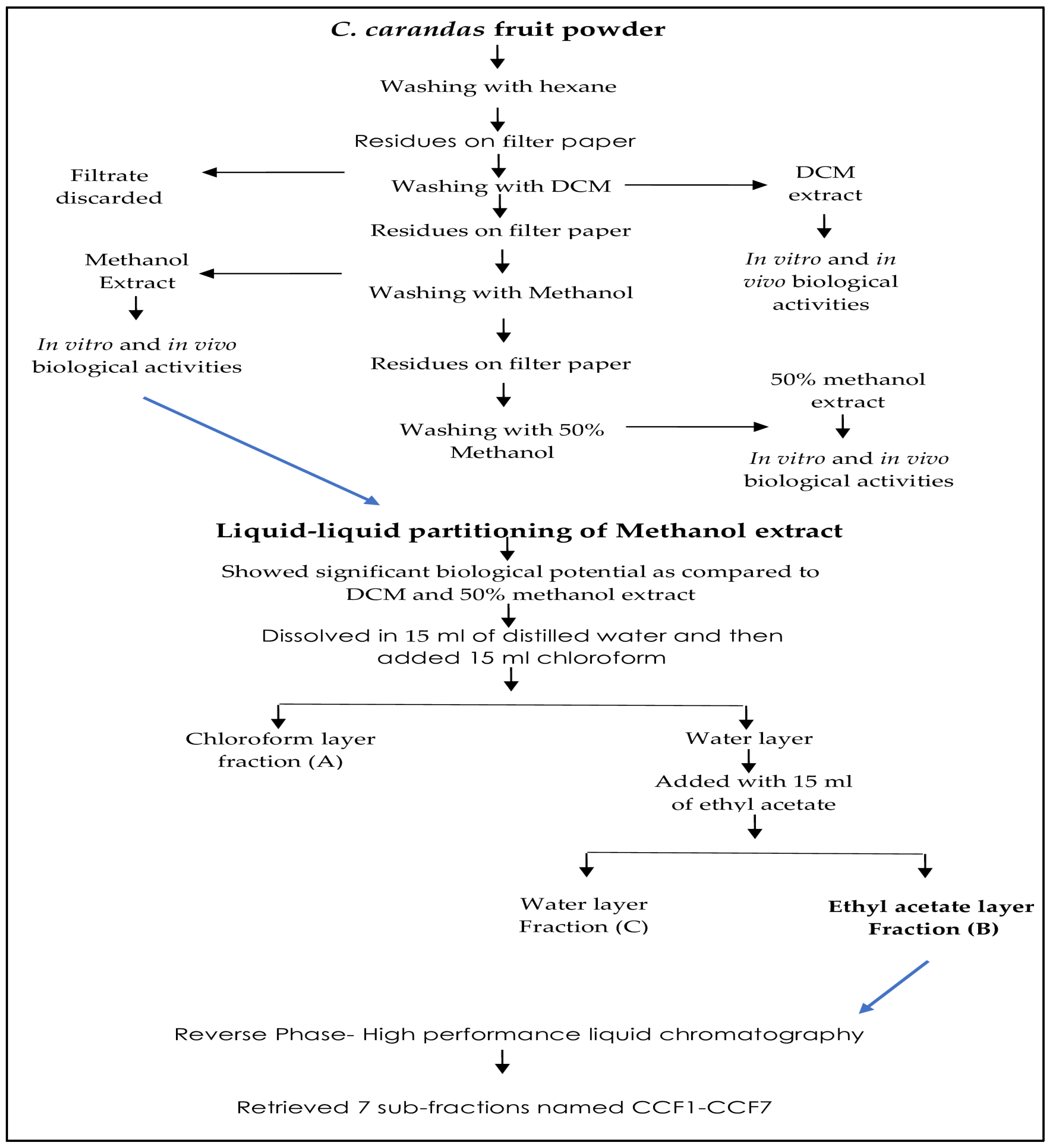 Antioxidants 13 01037 g001