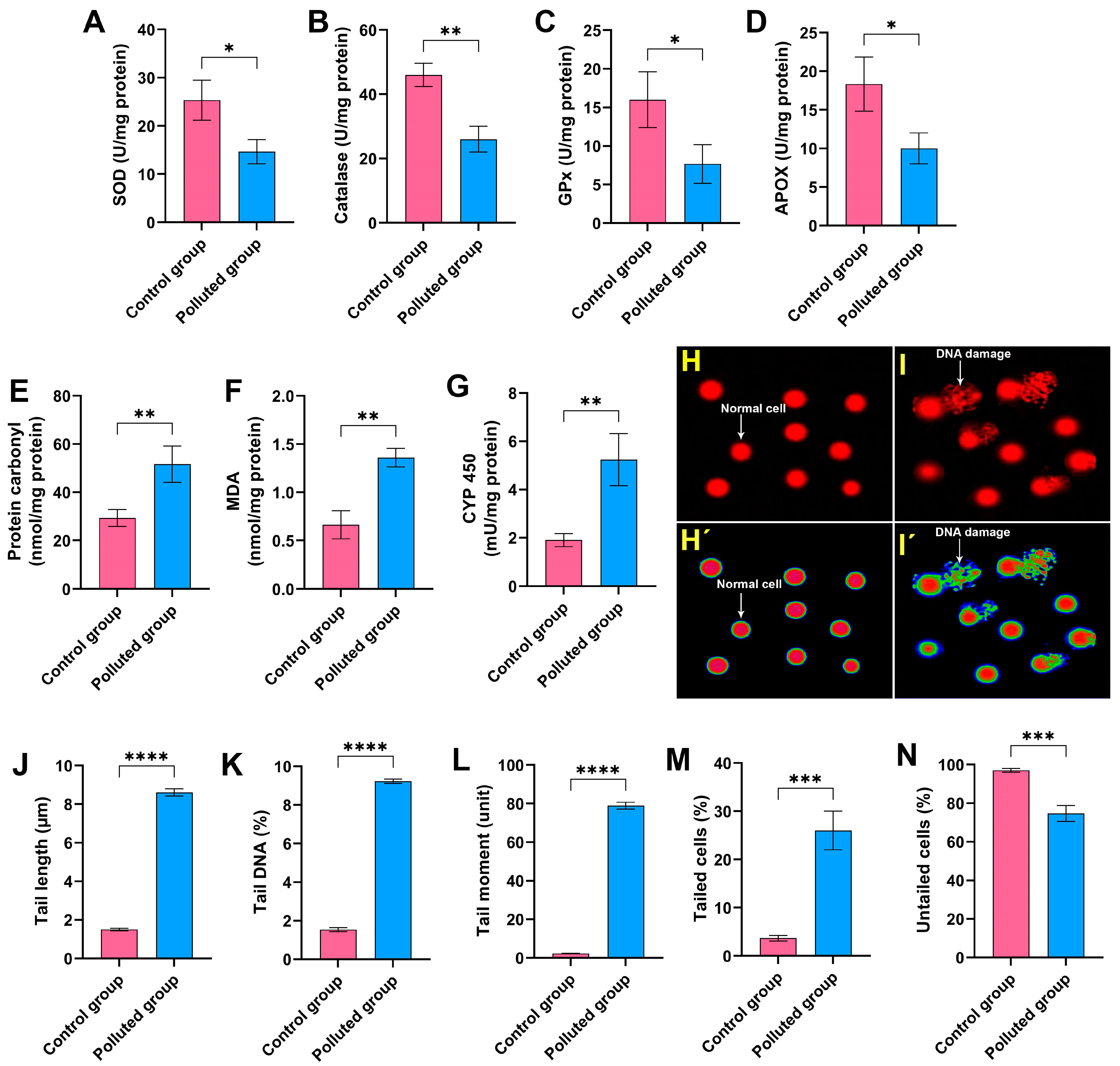 Antioxidants 13 01039 g002