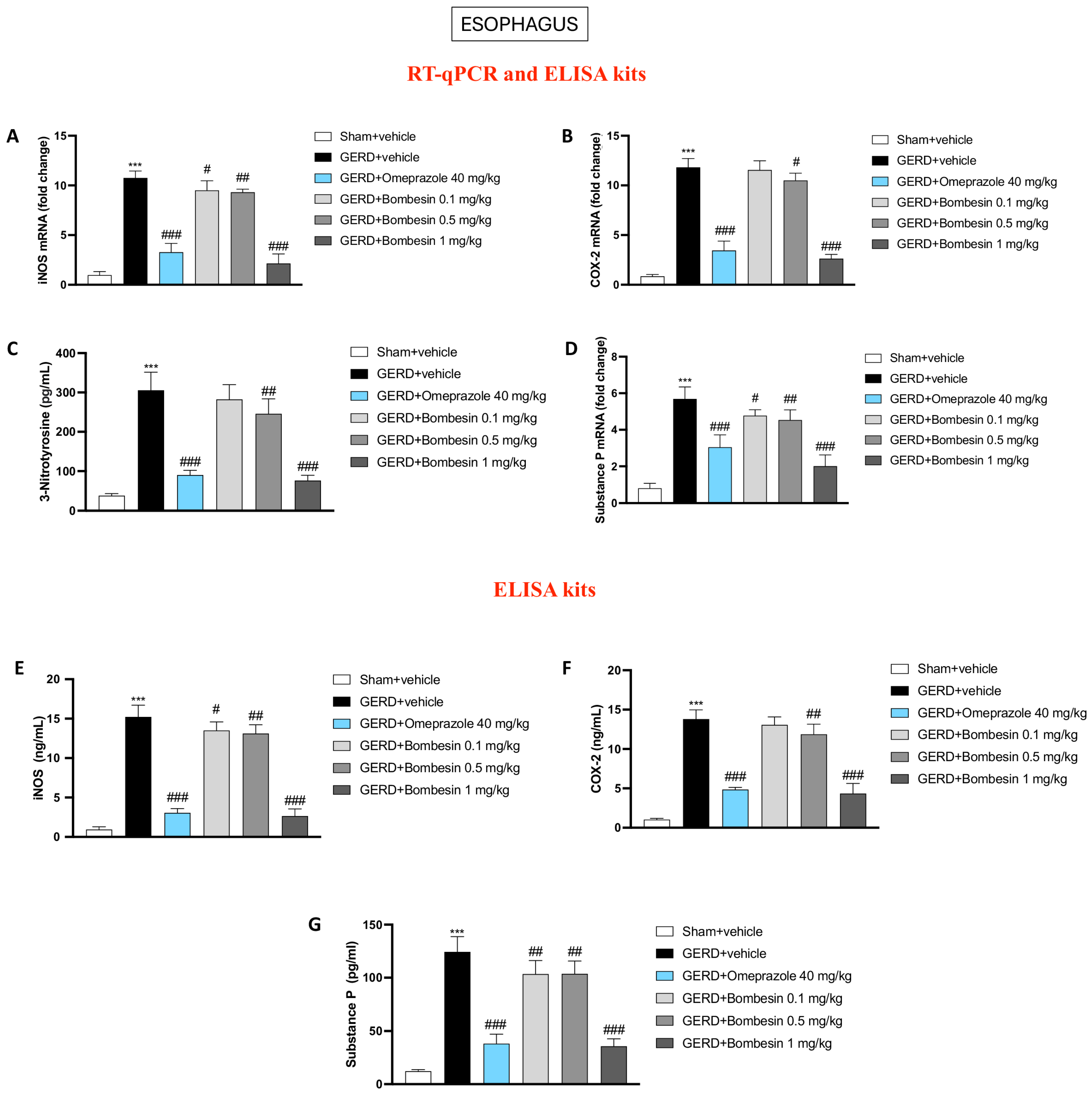 Antioxidants 13 01043 g003