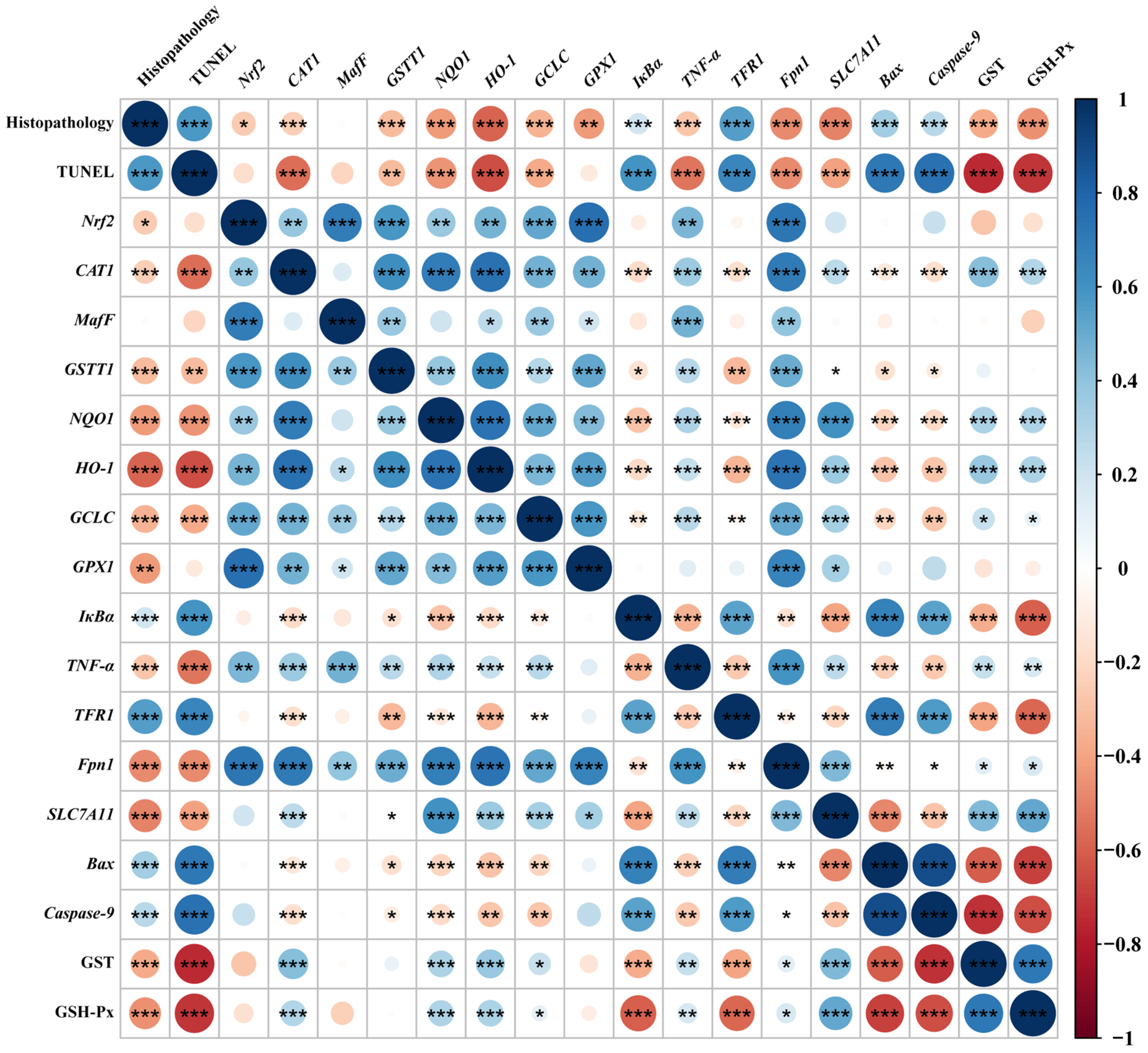 Antioxidants 13 01048 g006