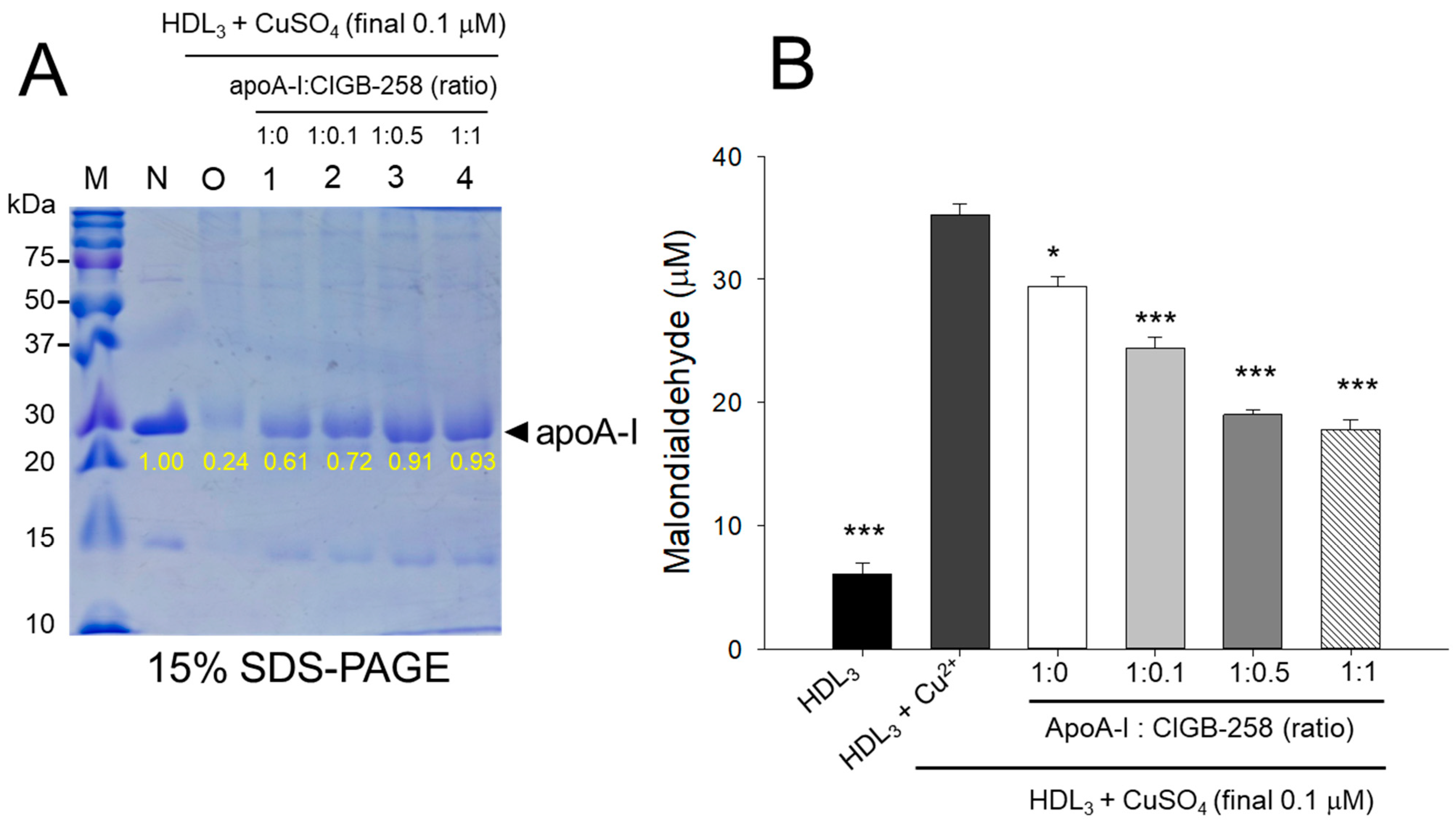 Antioxidants 13 01049 g003 Antioxidants 13 01049 g003