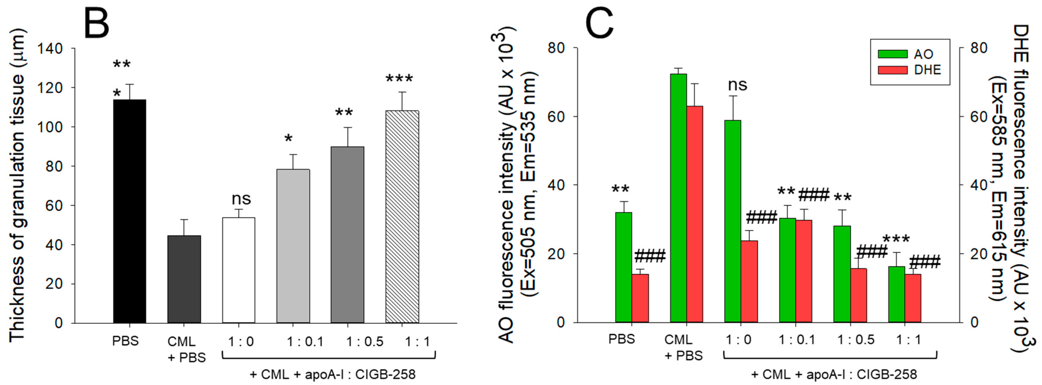 Antioxidants 13 01049 g007b Antioxidants 13 01049 g007b