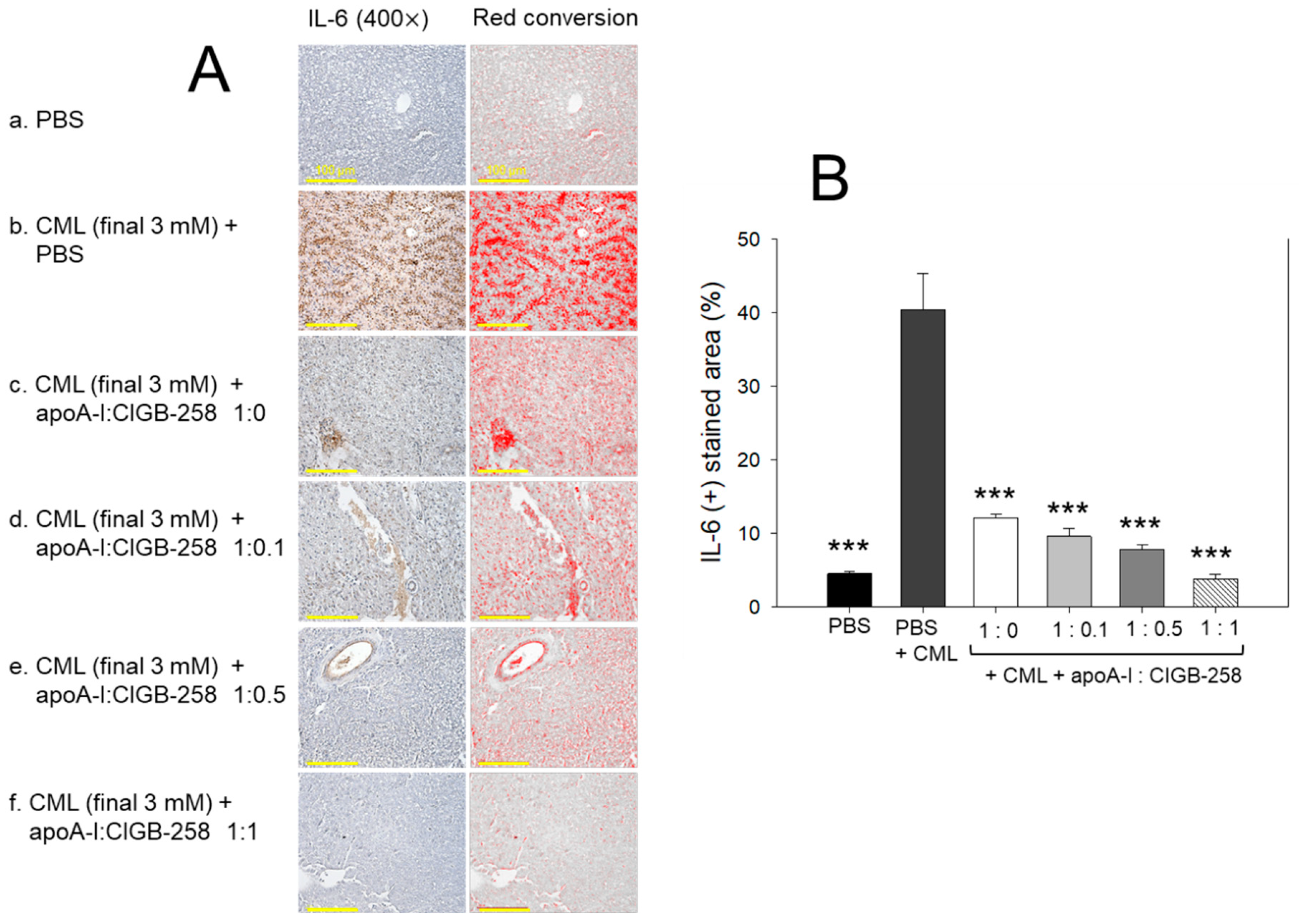 Antioxidants 13 01049 g010 Antioxidants 13 01049 g010