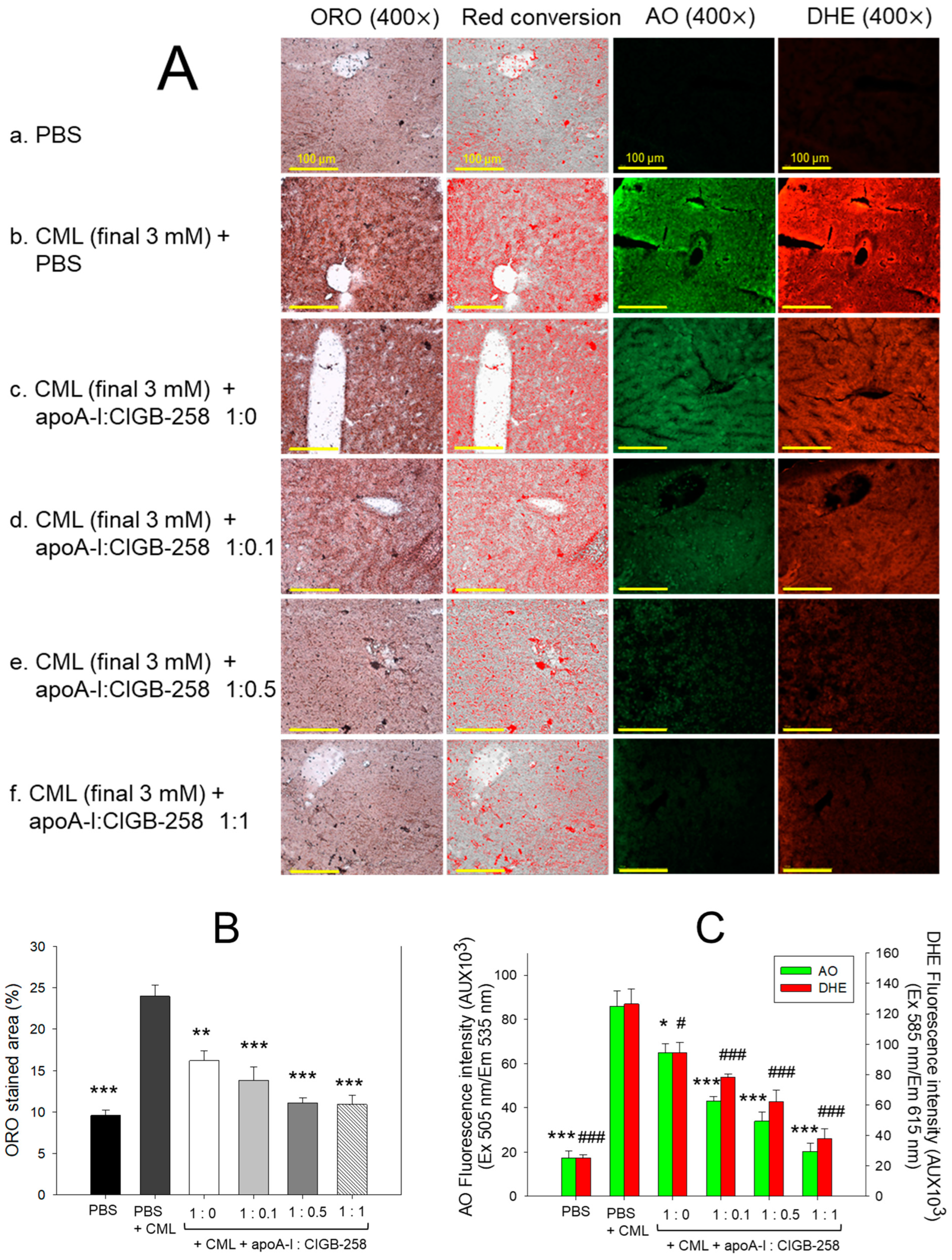 Antioxidants 13 01049 g011 Antioxidants 13 01049 g011