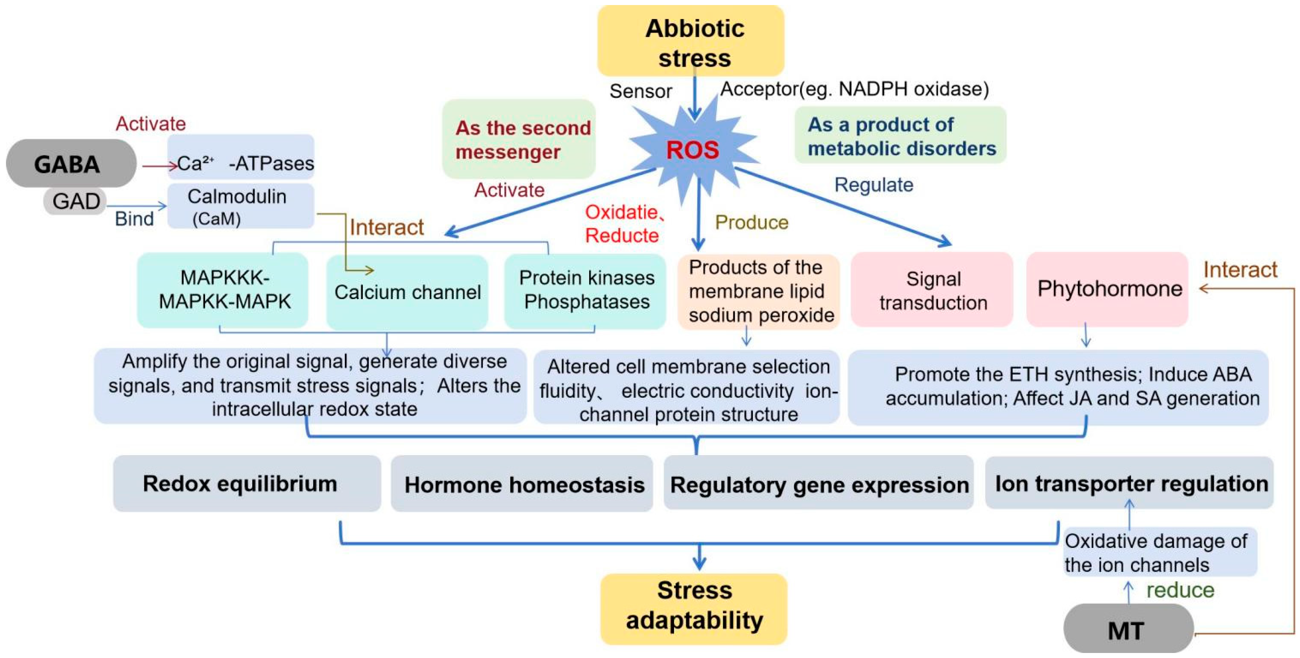 Antioxidants 13 01050 g002