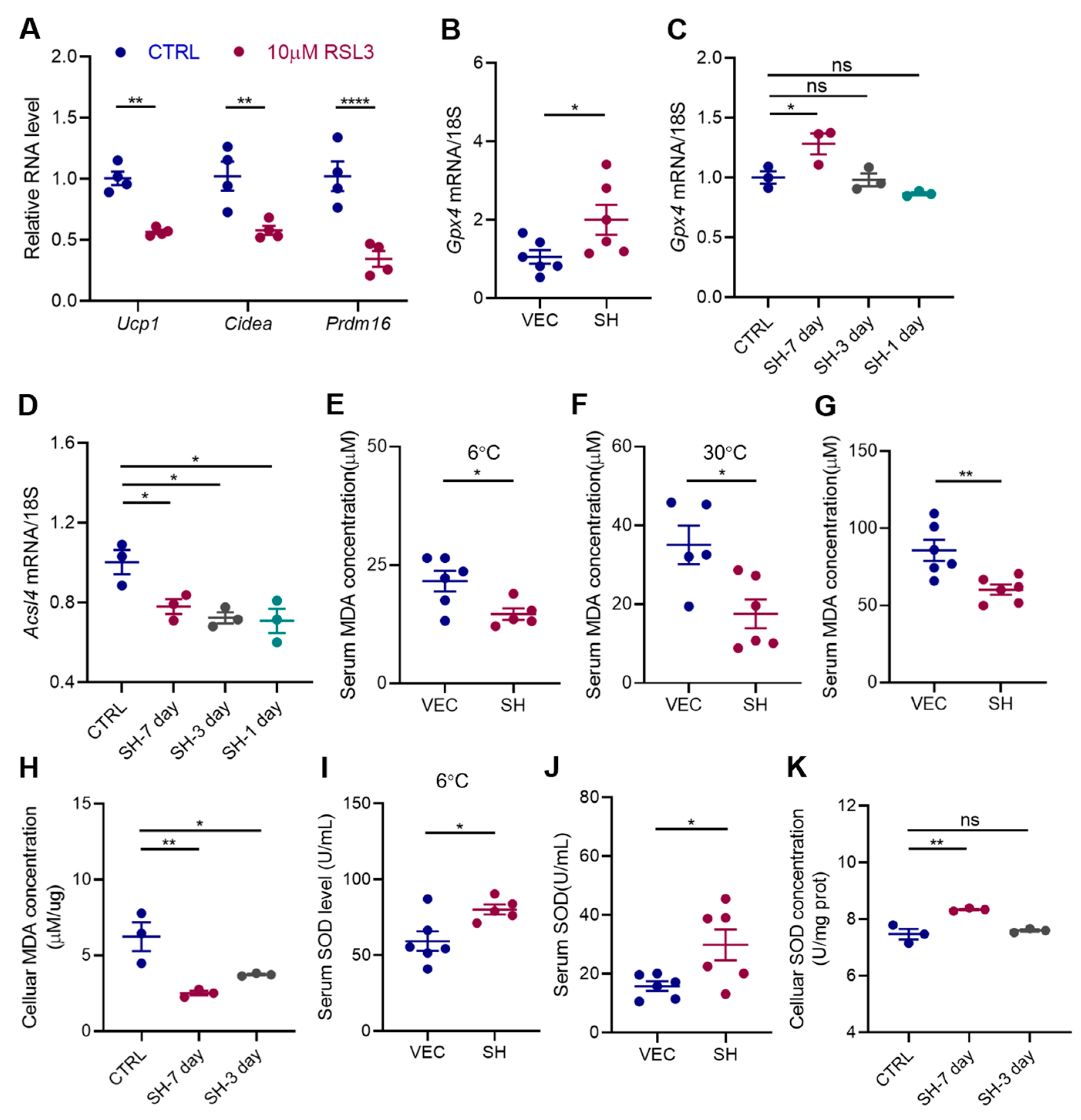 Antioxidants 13 01057 g006