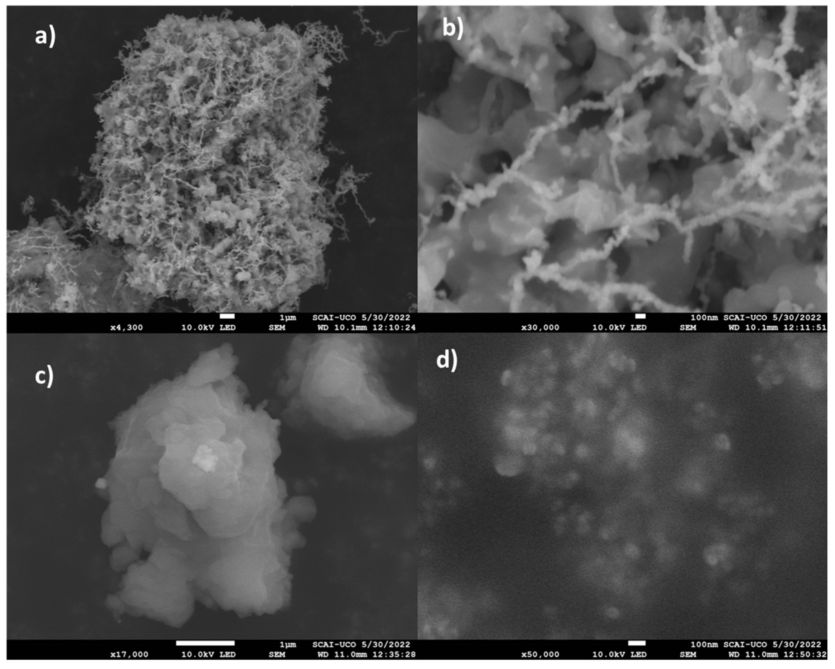 Antioxidants 13 01059 g005