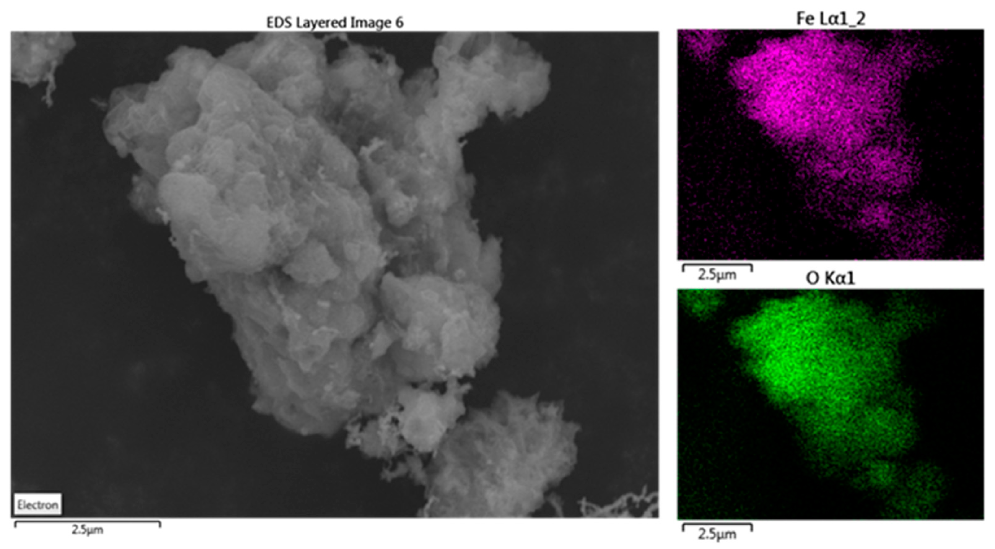 Antioxidants 13 01059 g006