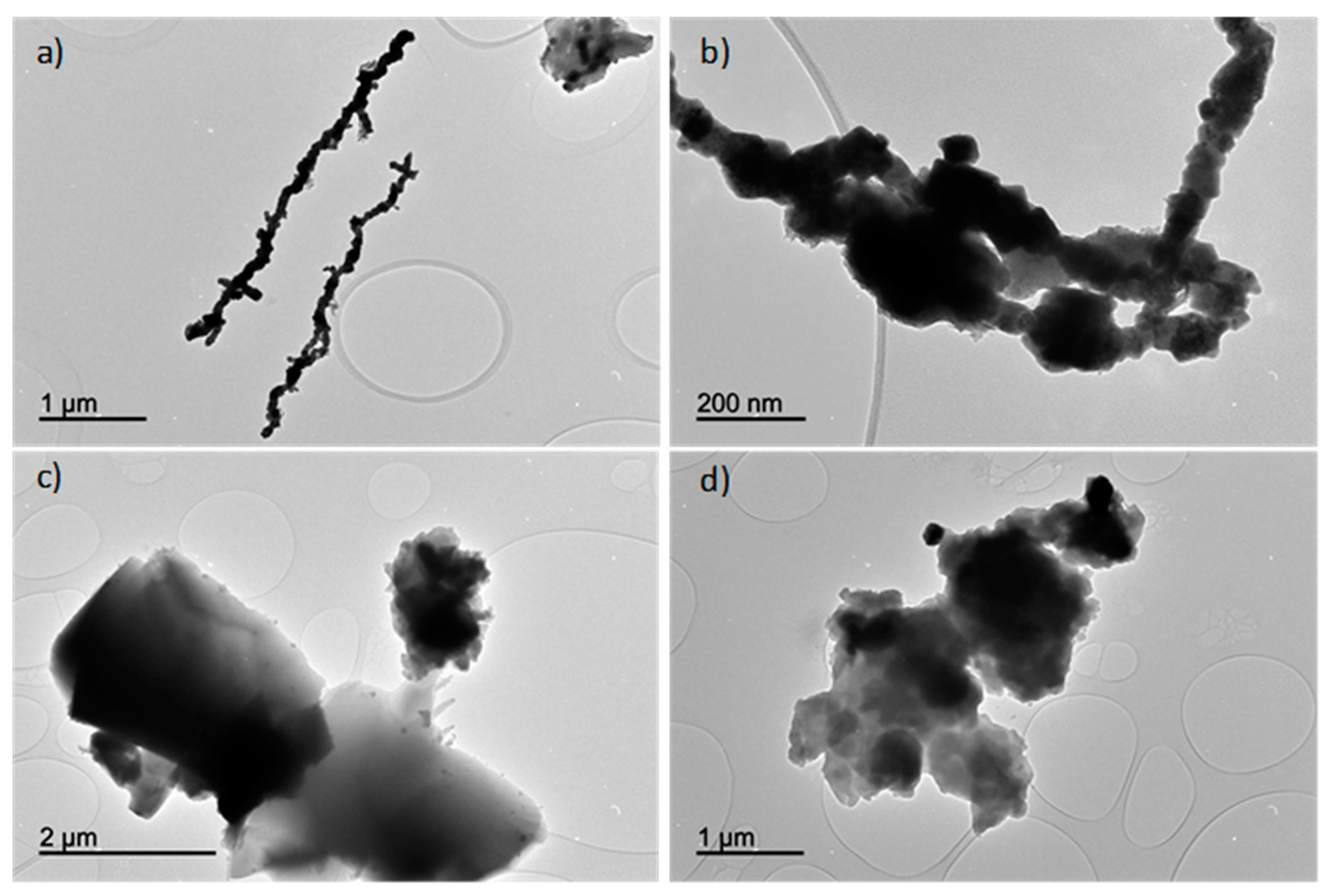 Antioxidants 13 01059 g007