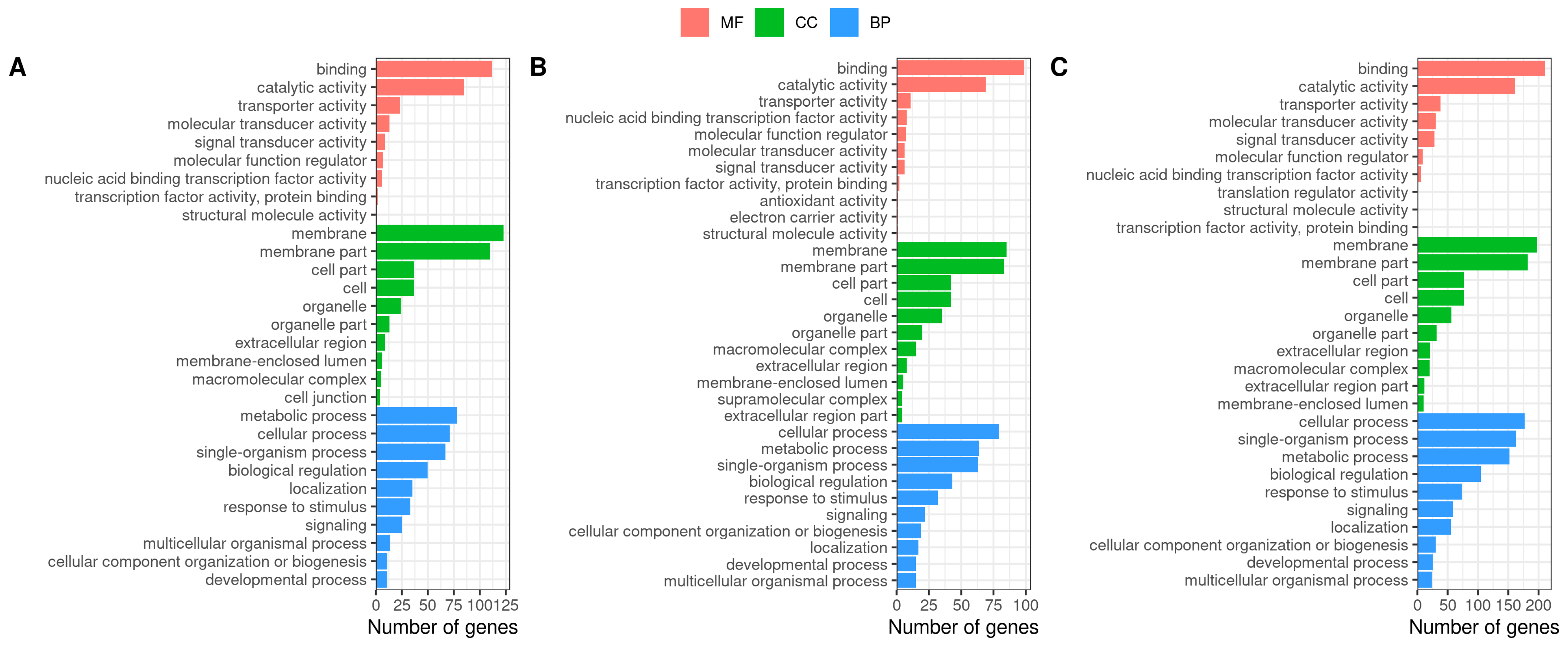 Antioxidants 13 01063 g004 Antioxidants 13 01063 g004