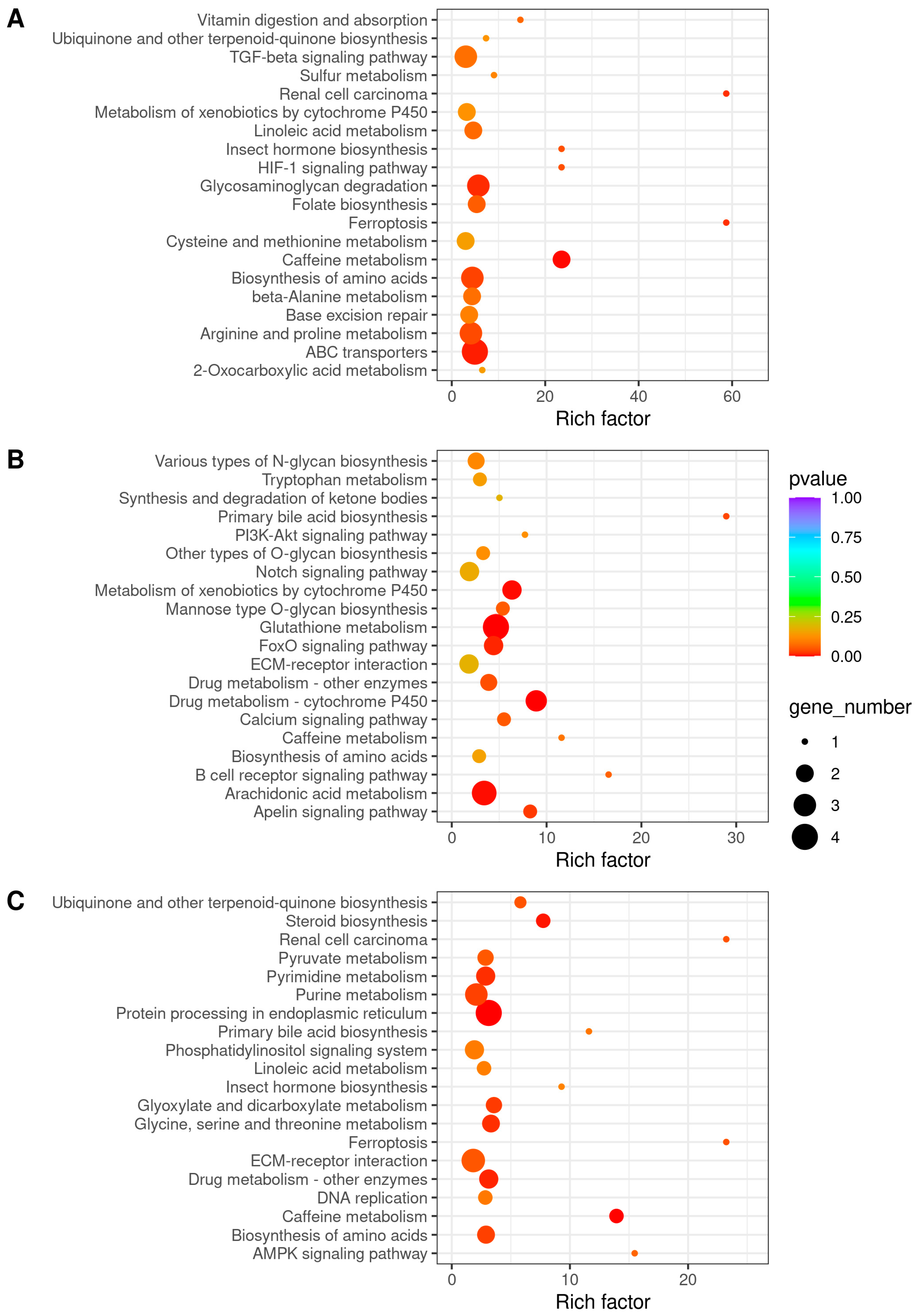 Antioxidants 13 01063 g005 Antioxidants 13 01063 g005