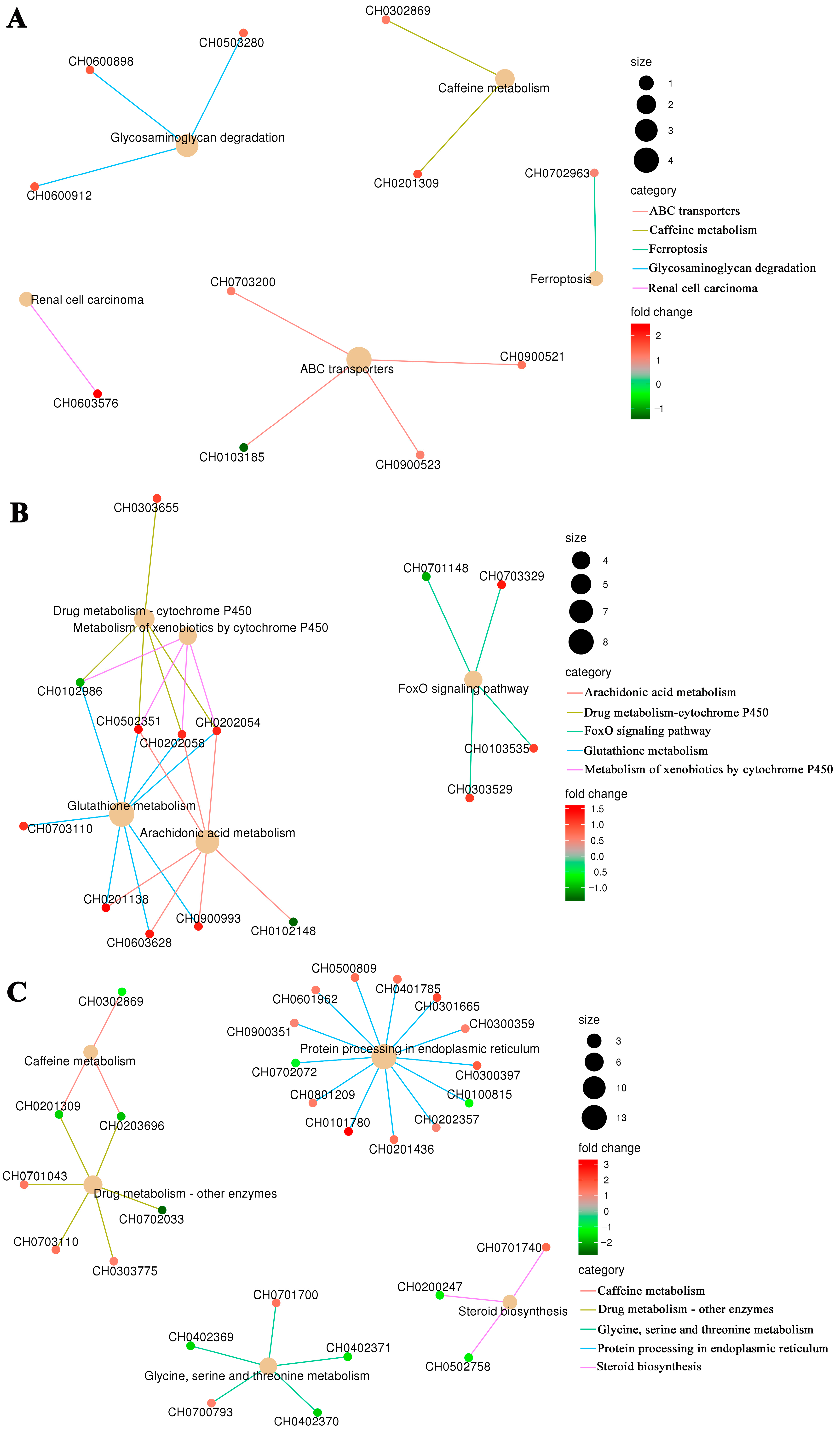 Antioxidants 13 01063 g006 Antioxidants 13 01063 g006