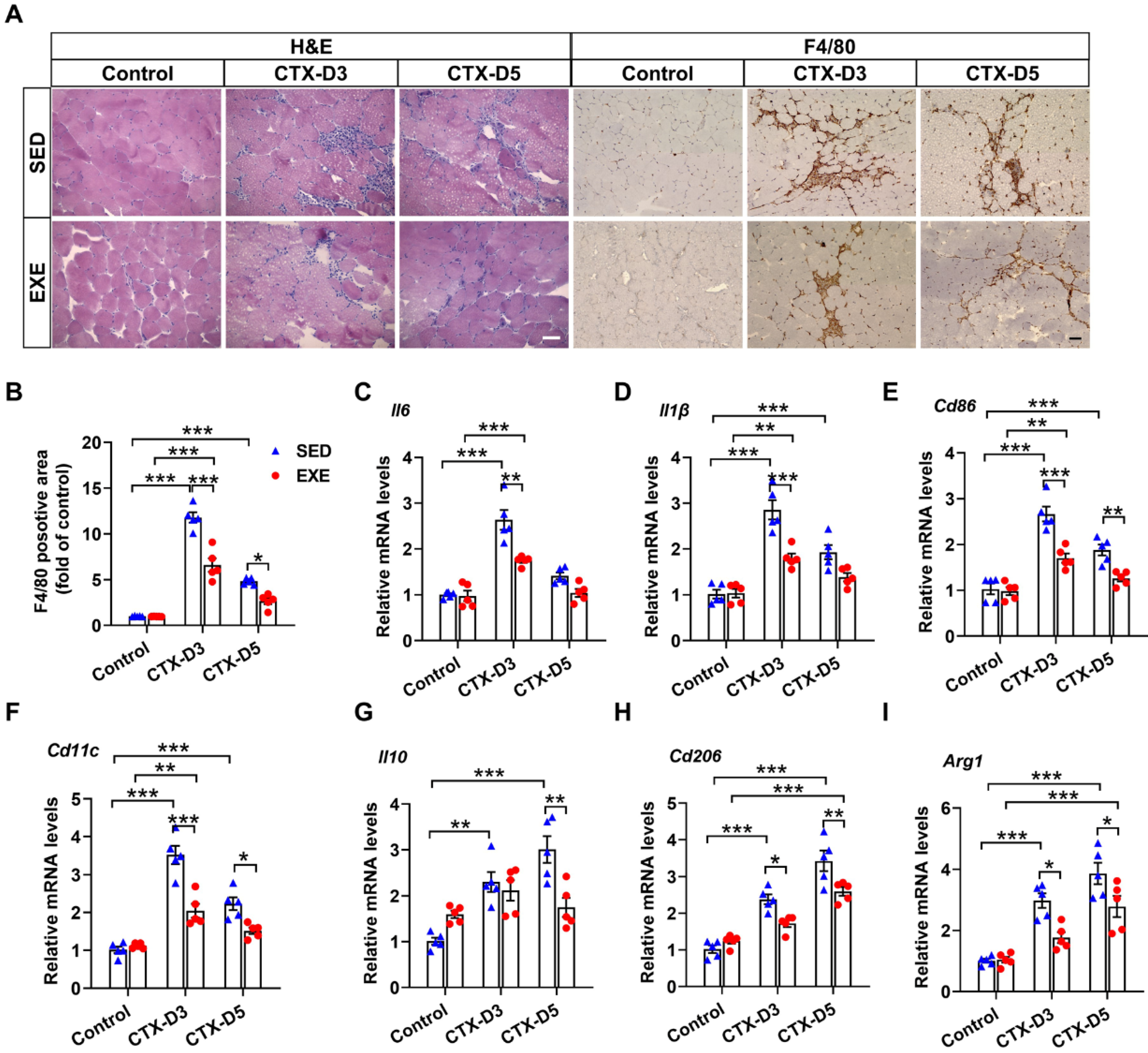 Antioxidants 13 01069 g002