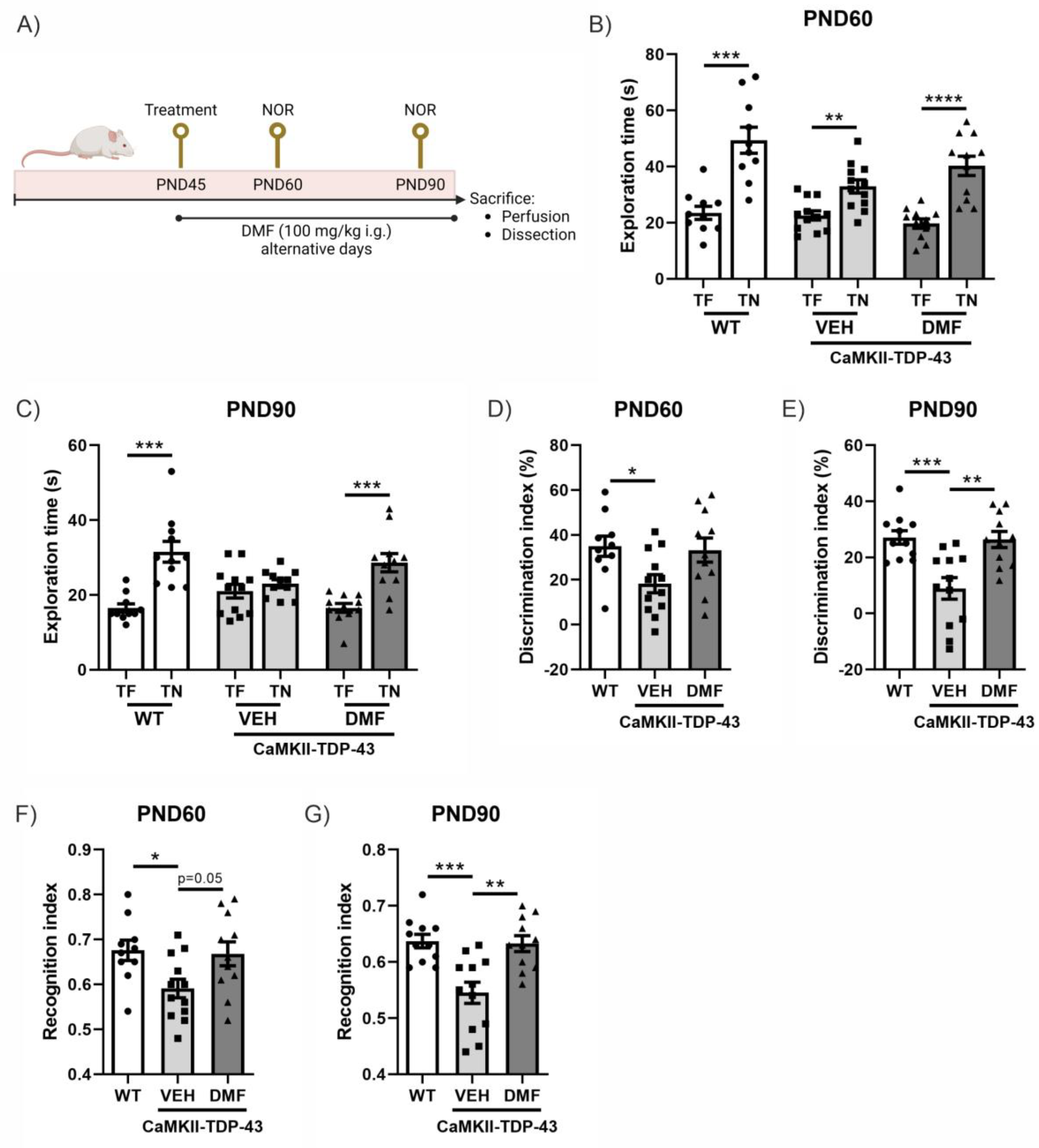 Antioxidants 13 01072 g001
