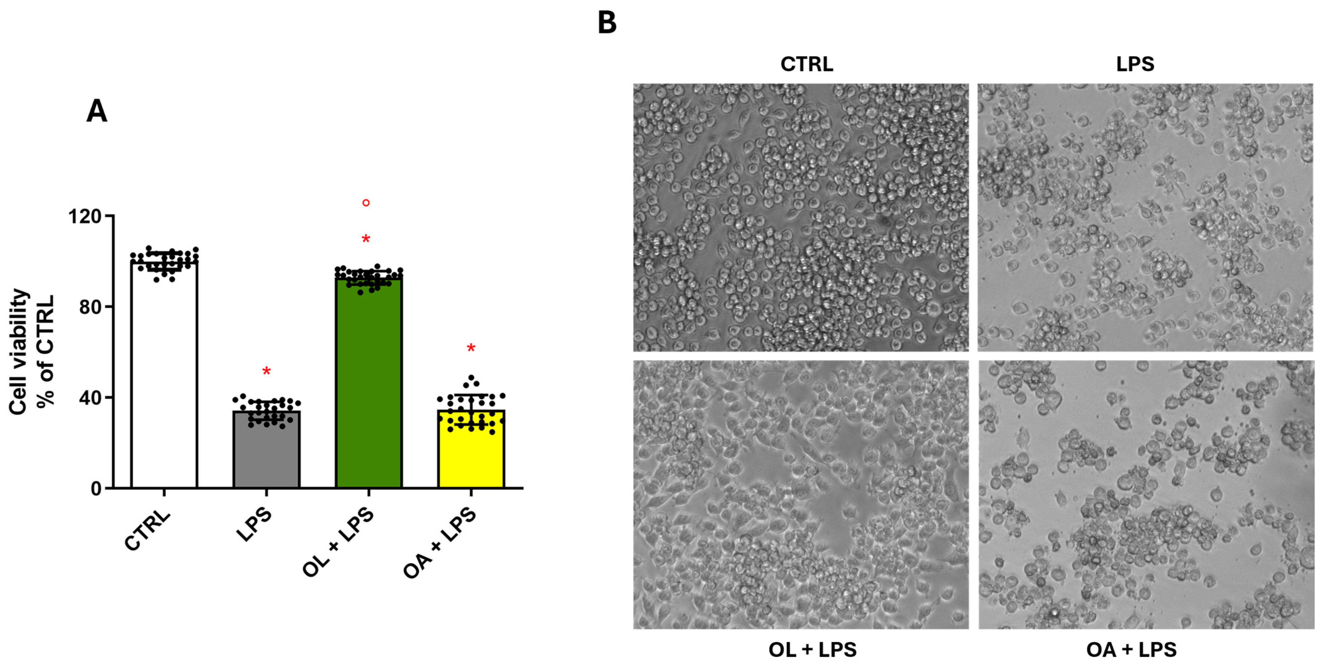 Antioxidants 13 01074 g003