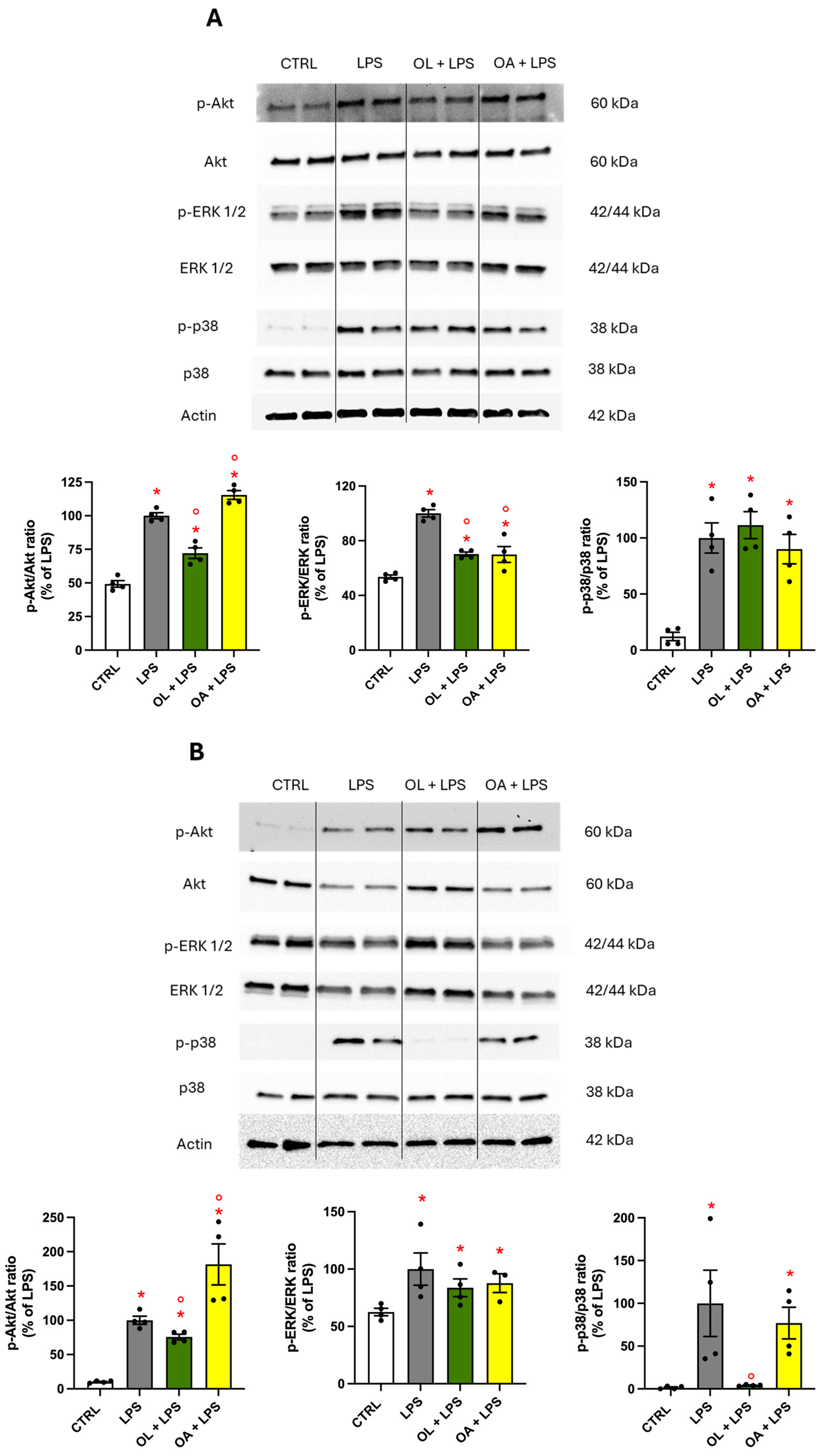 Antioxidants 13 01074 g010