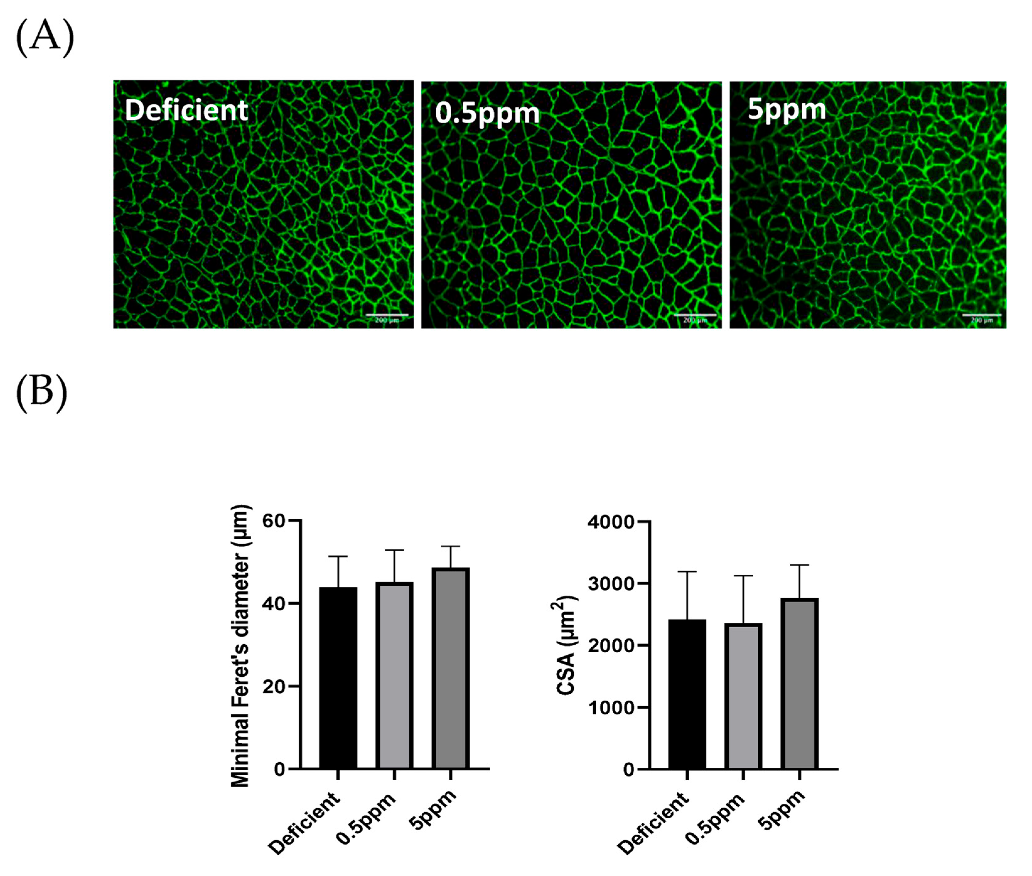 Antioxidants 13 01080 g004 Antioxidants 13 01080 g004