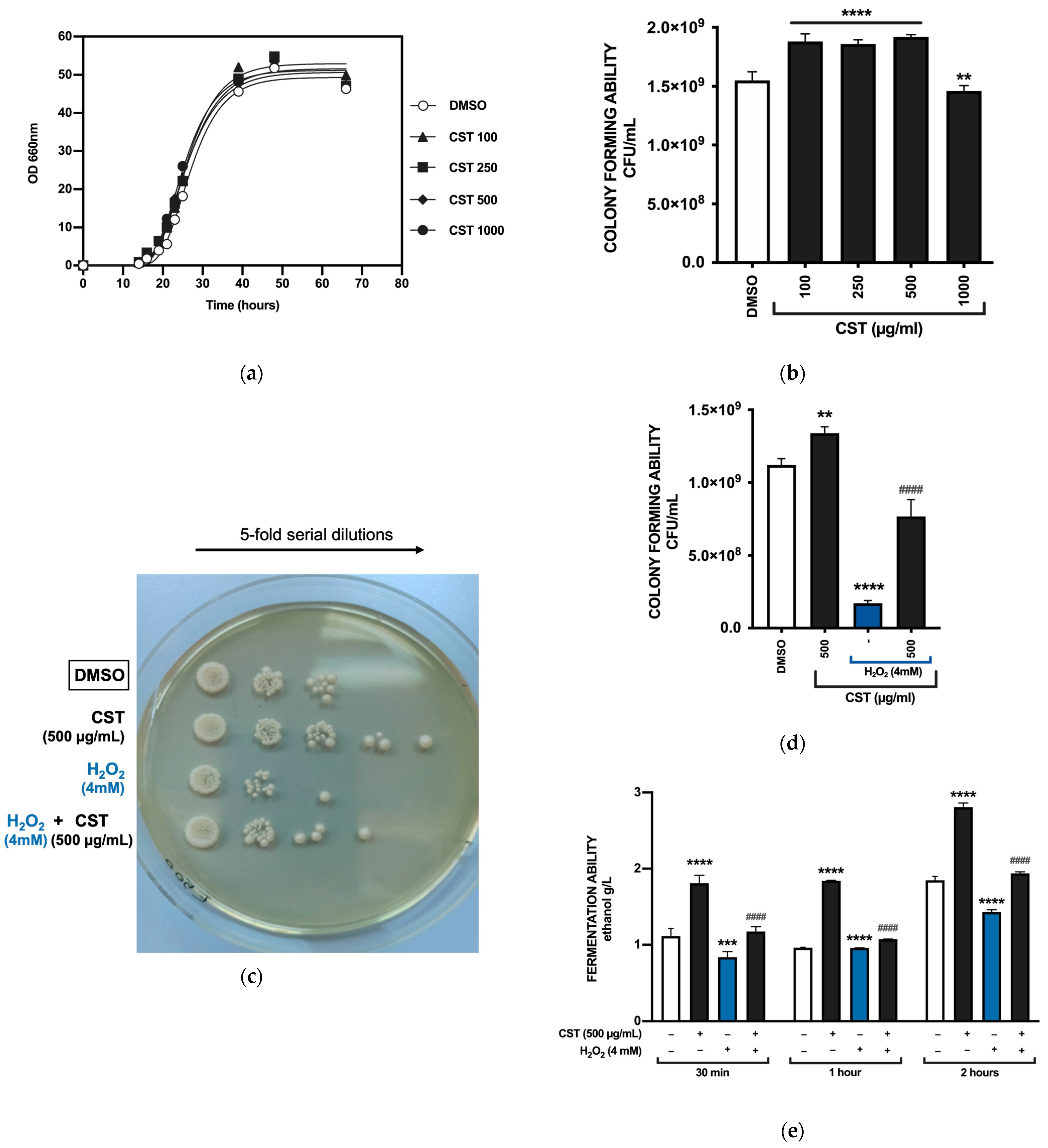 Antioxidants 13 01082 g001