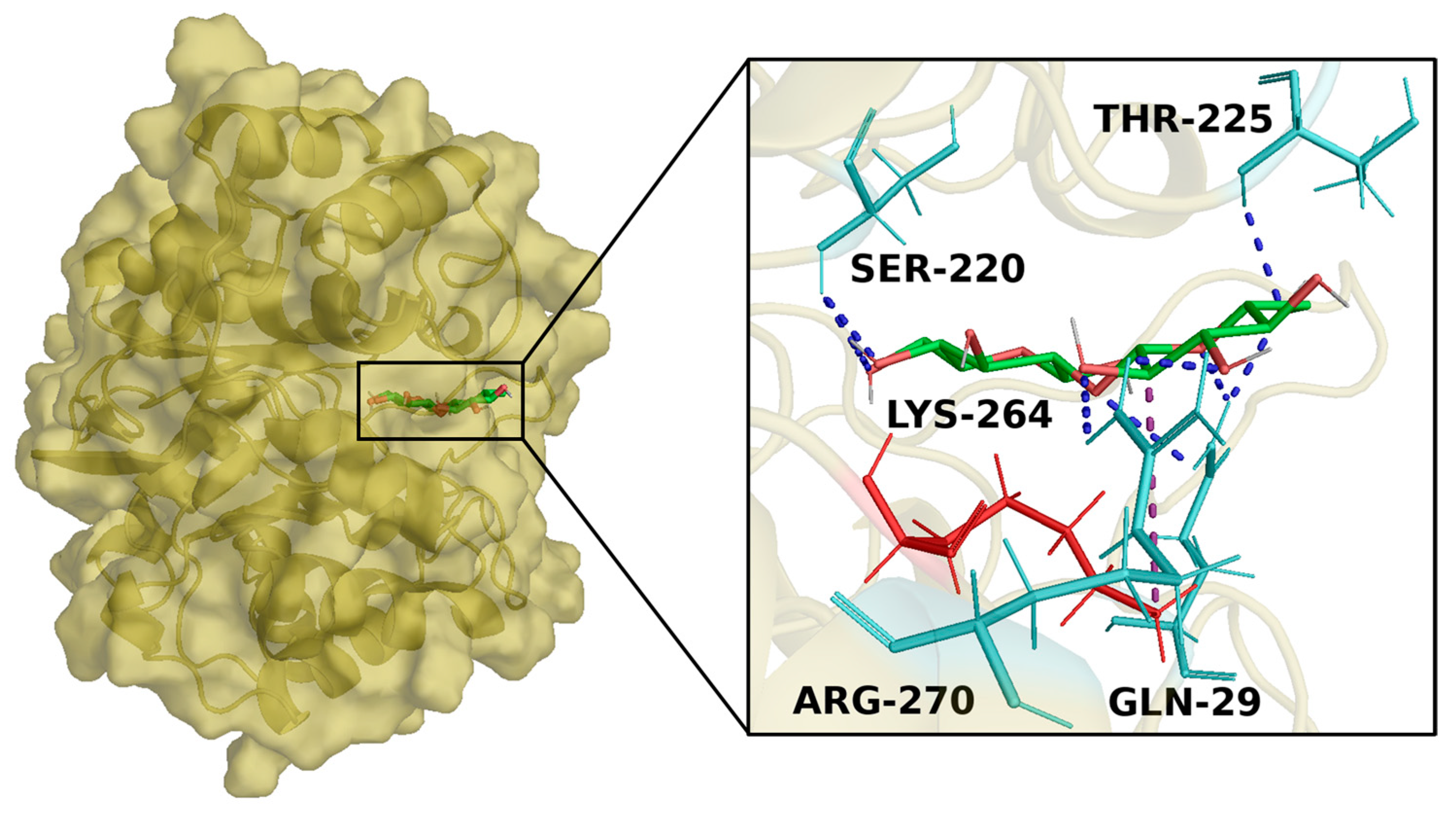 Antioxidants 13 01082 g002