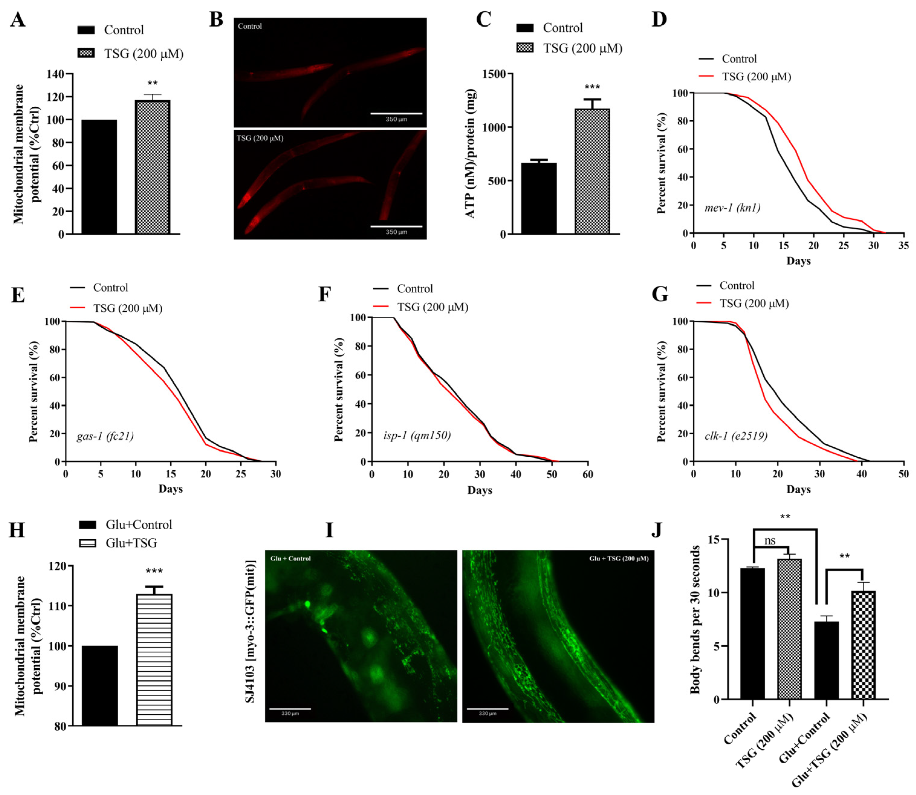 Antioxidants 13 01086 g003