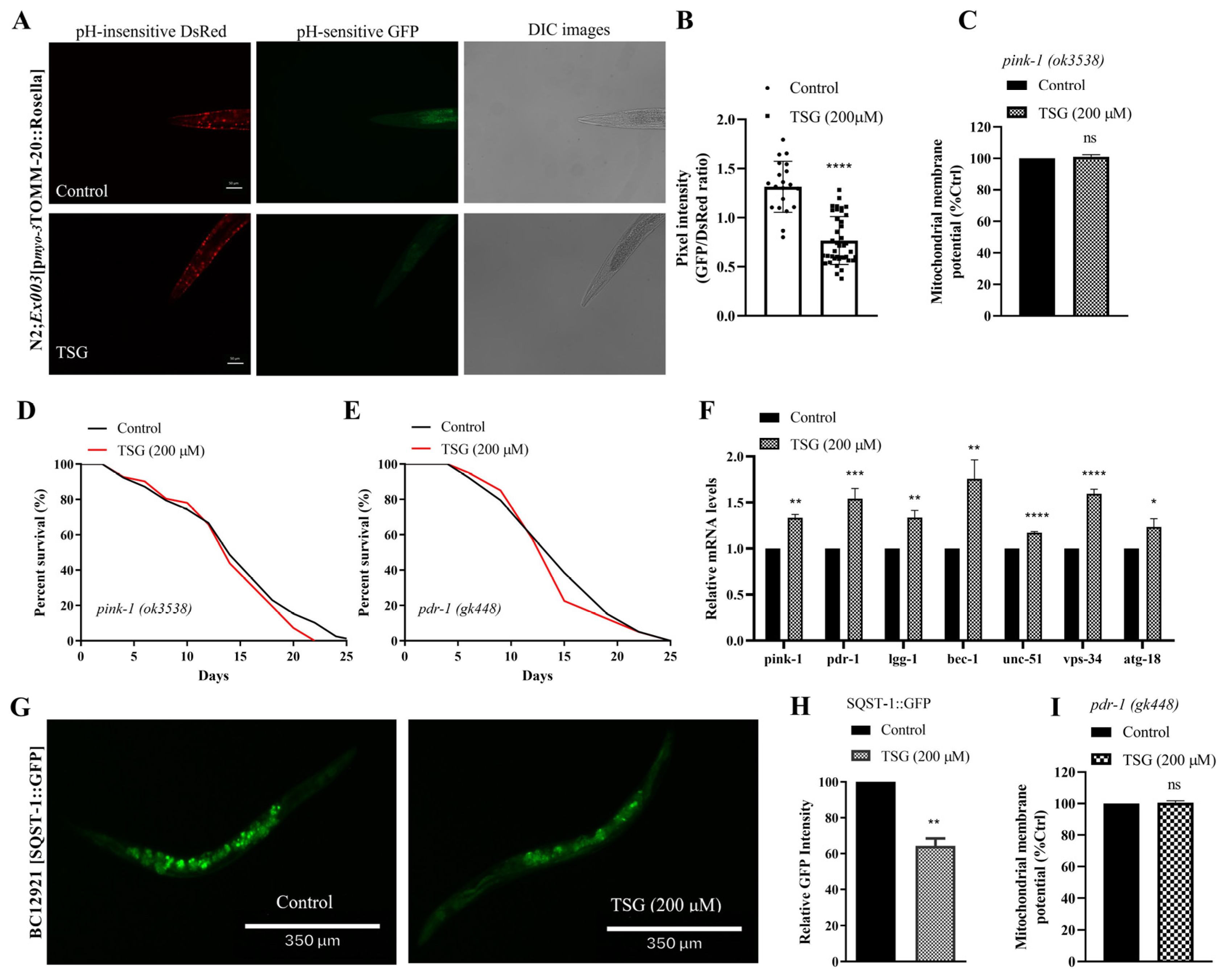 Antioxidants 13 01086 g004