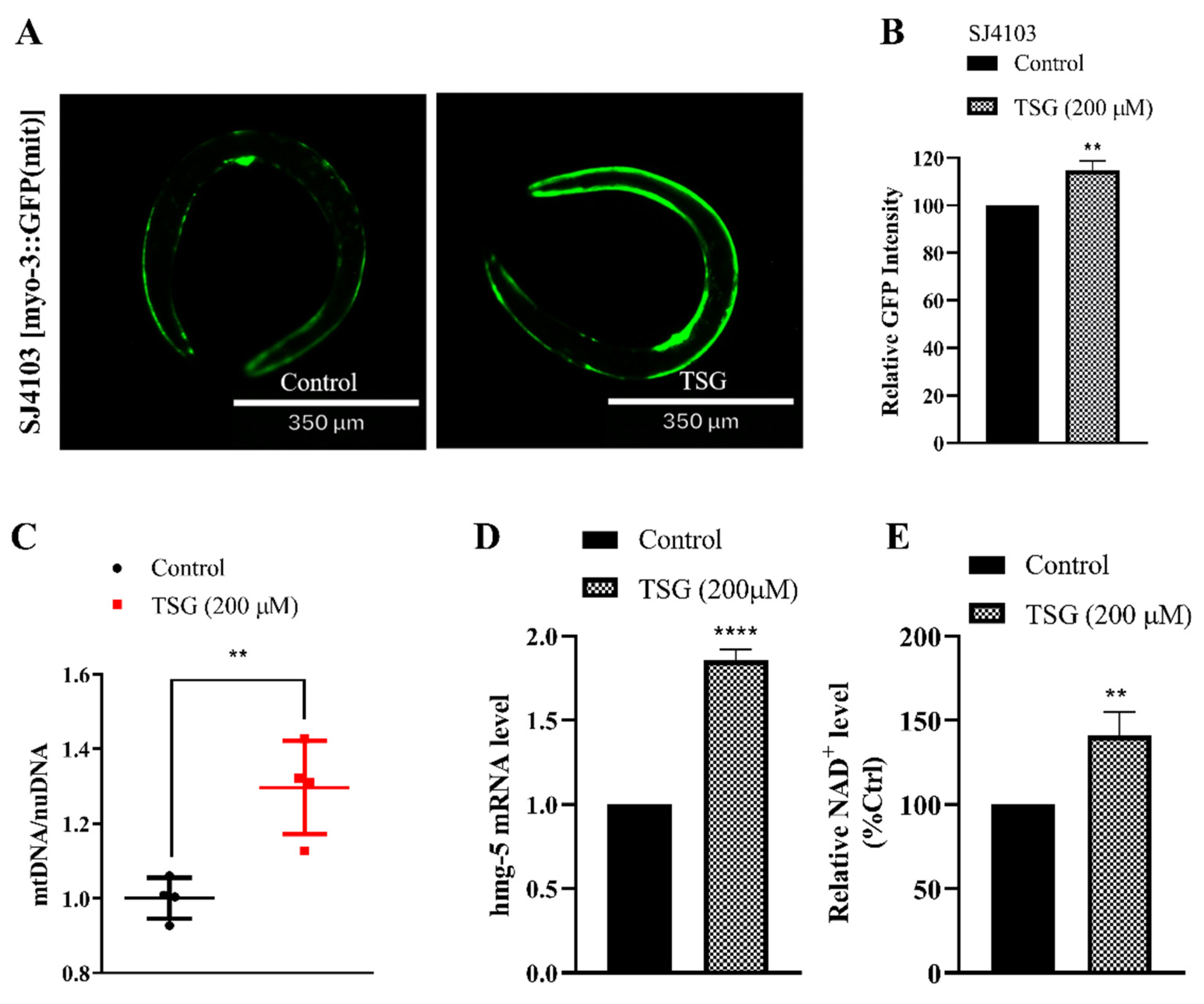 Antioxidants 13 01086 g005