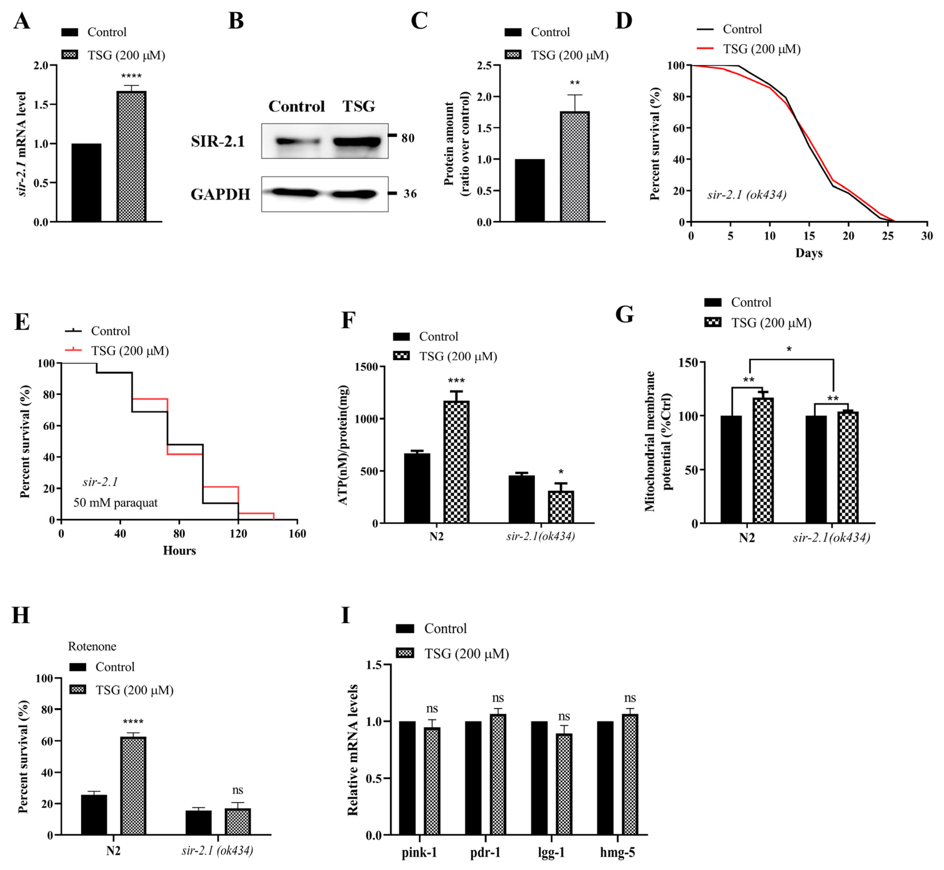 Antioxidants 13 01086 g007