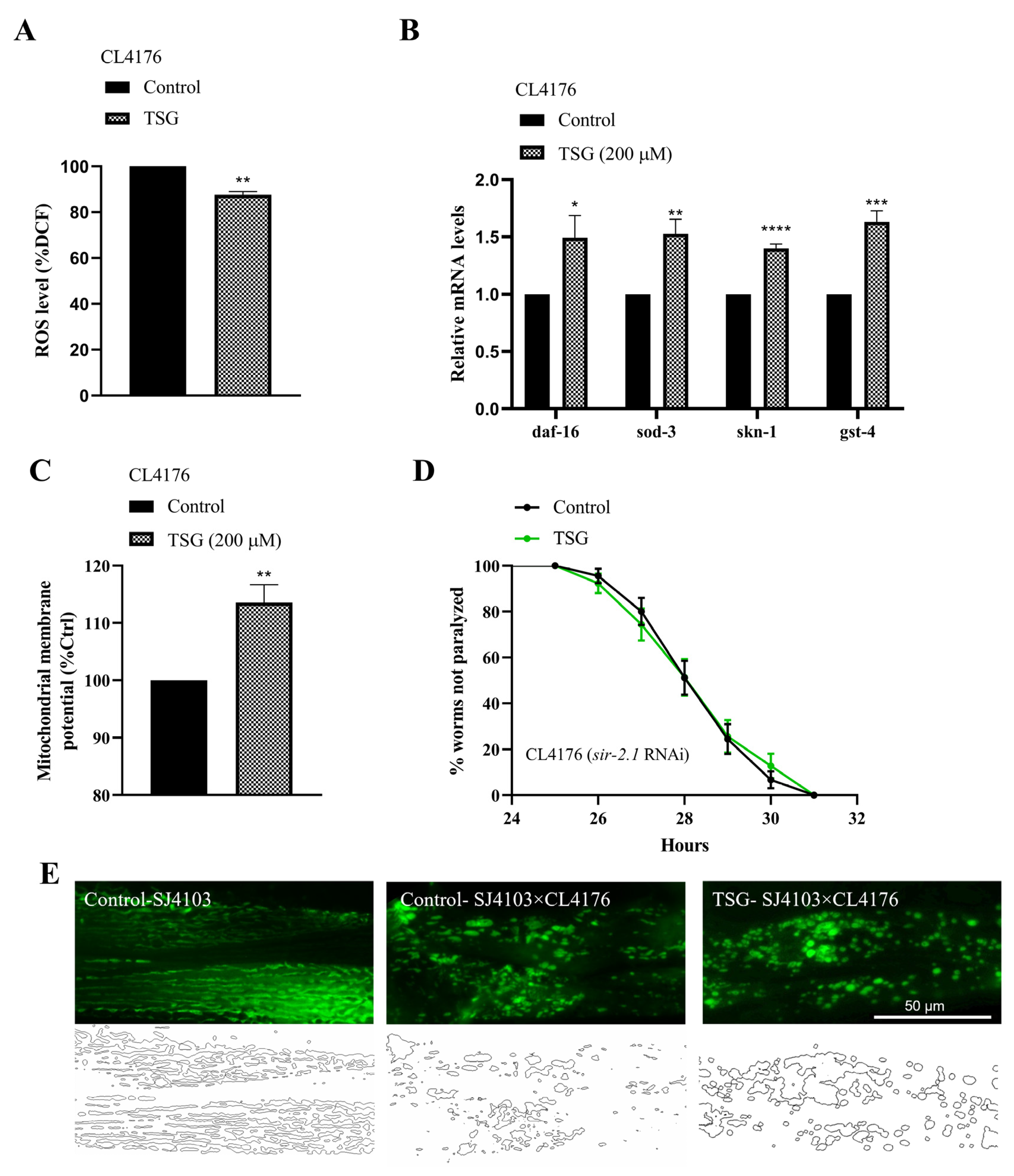 Antioxidants 13 01086 g009