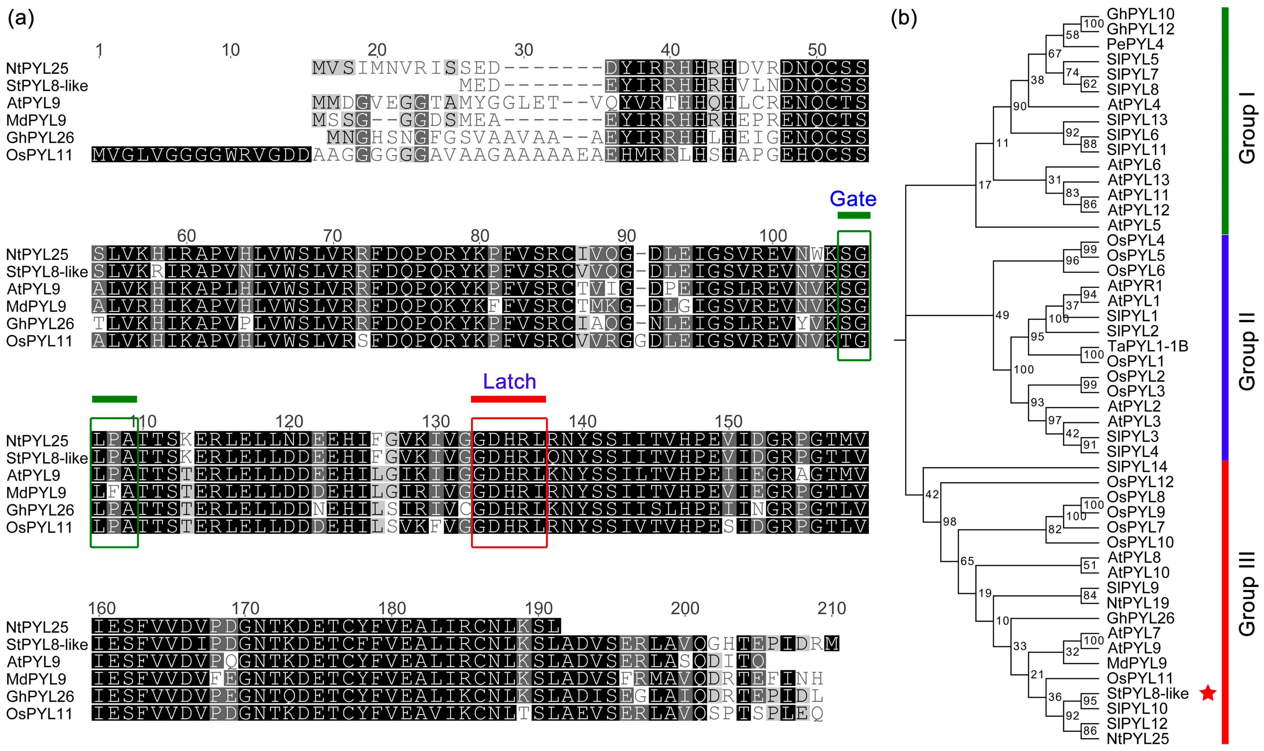 Antioxidants 13 01088 g001