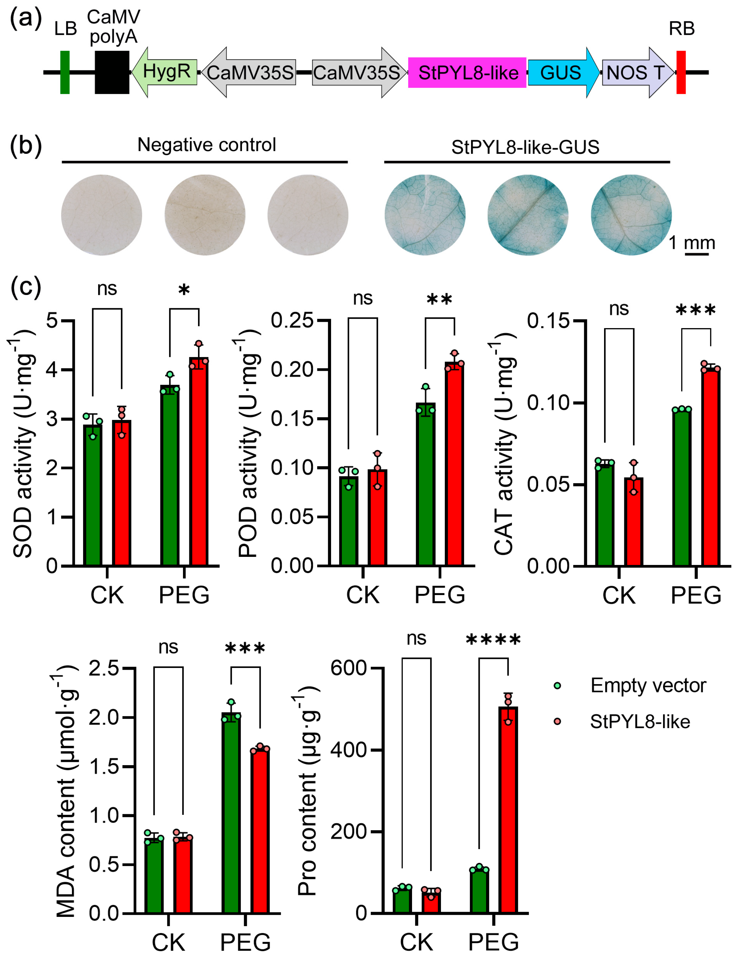 Antioxidants 13 01088 g003