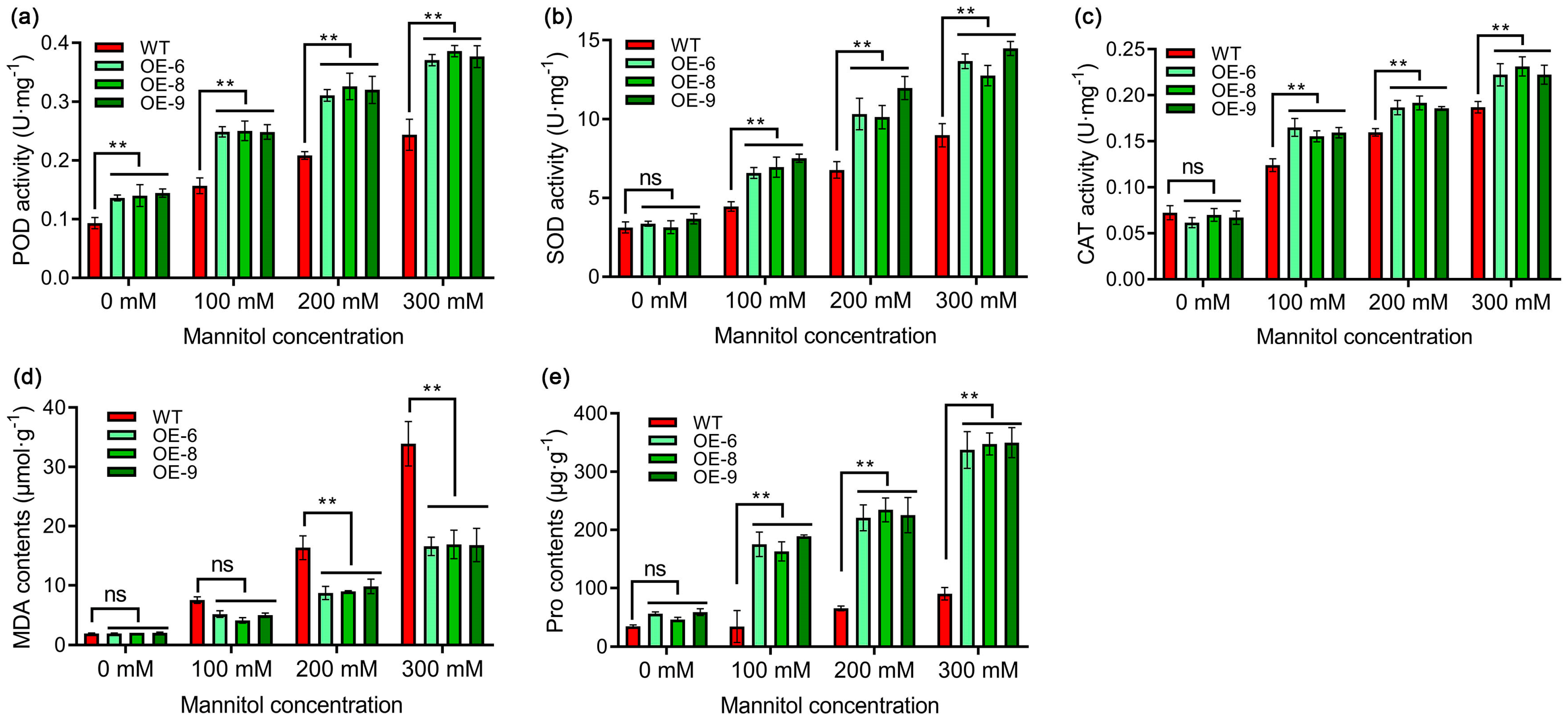 Antioxidants 13 01088 g007