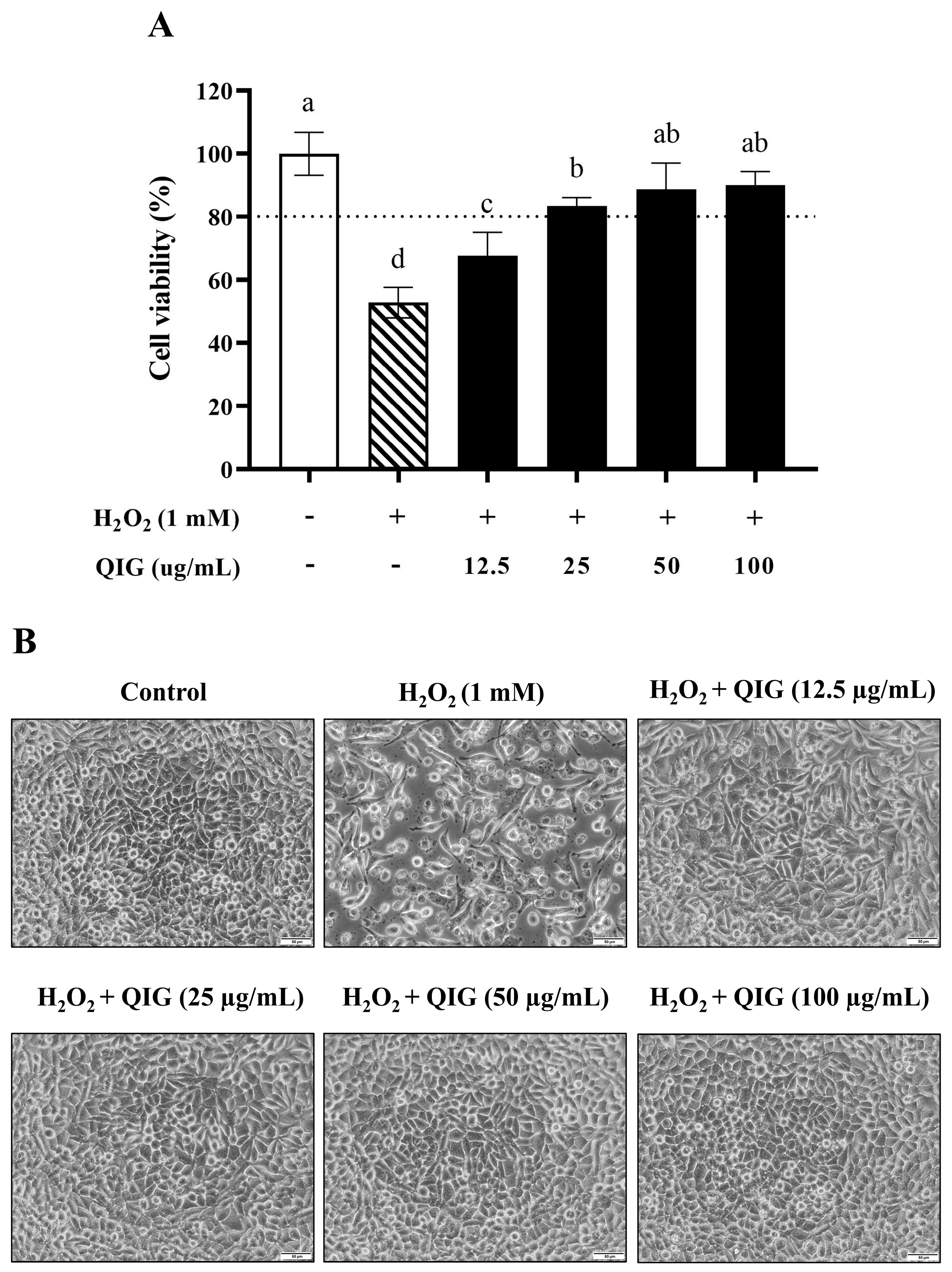 Antioxidants 13 01094 g003