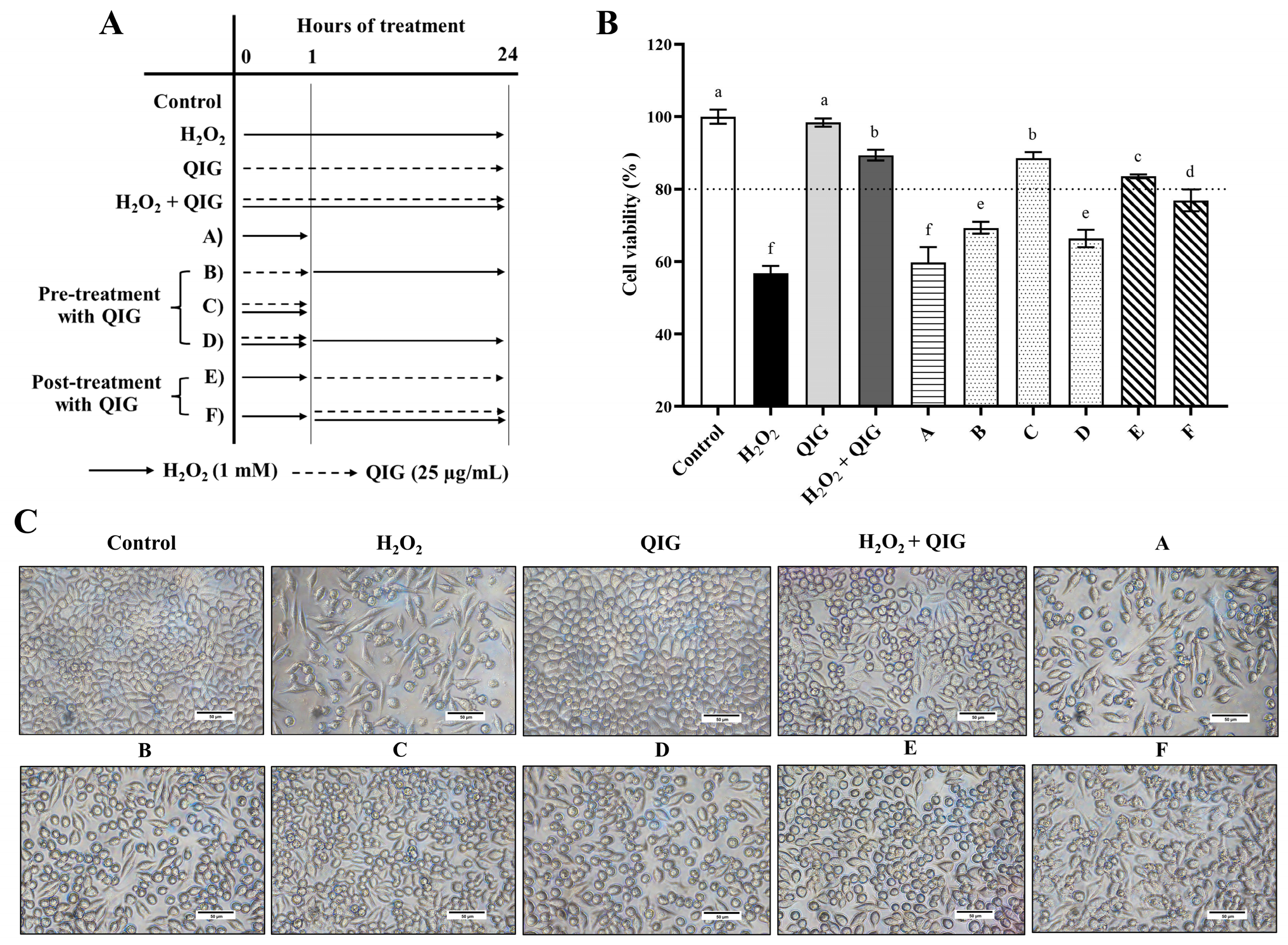 Antioxidants 13 01094 g006