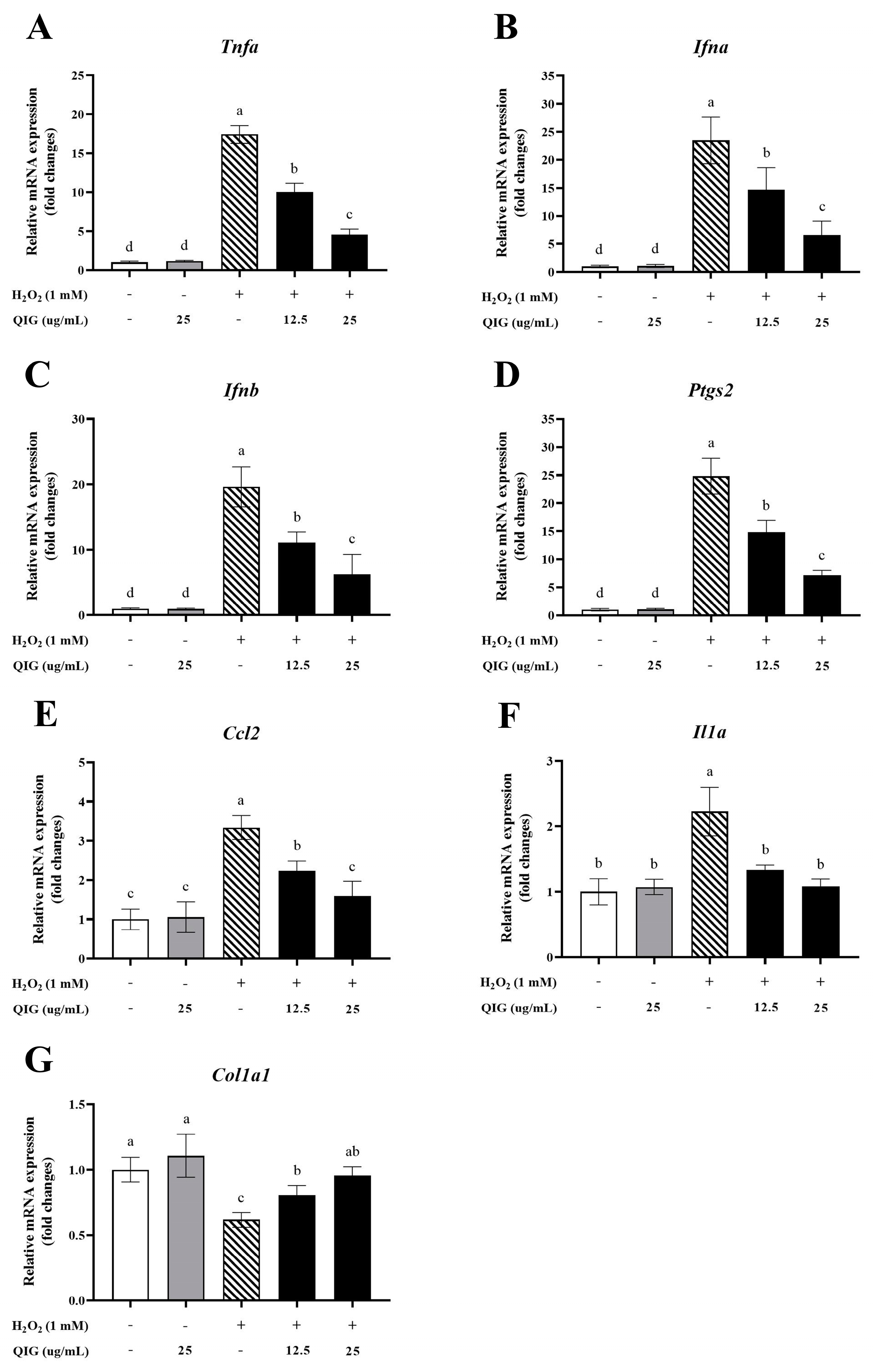 Antioxidants 13 01094 g007
