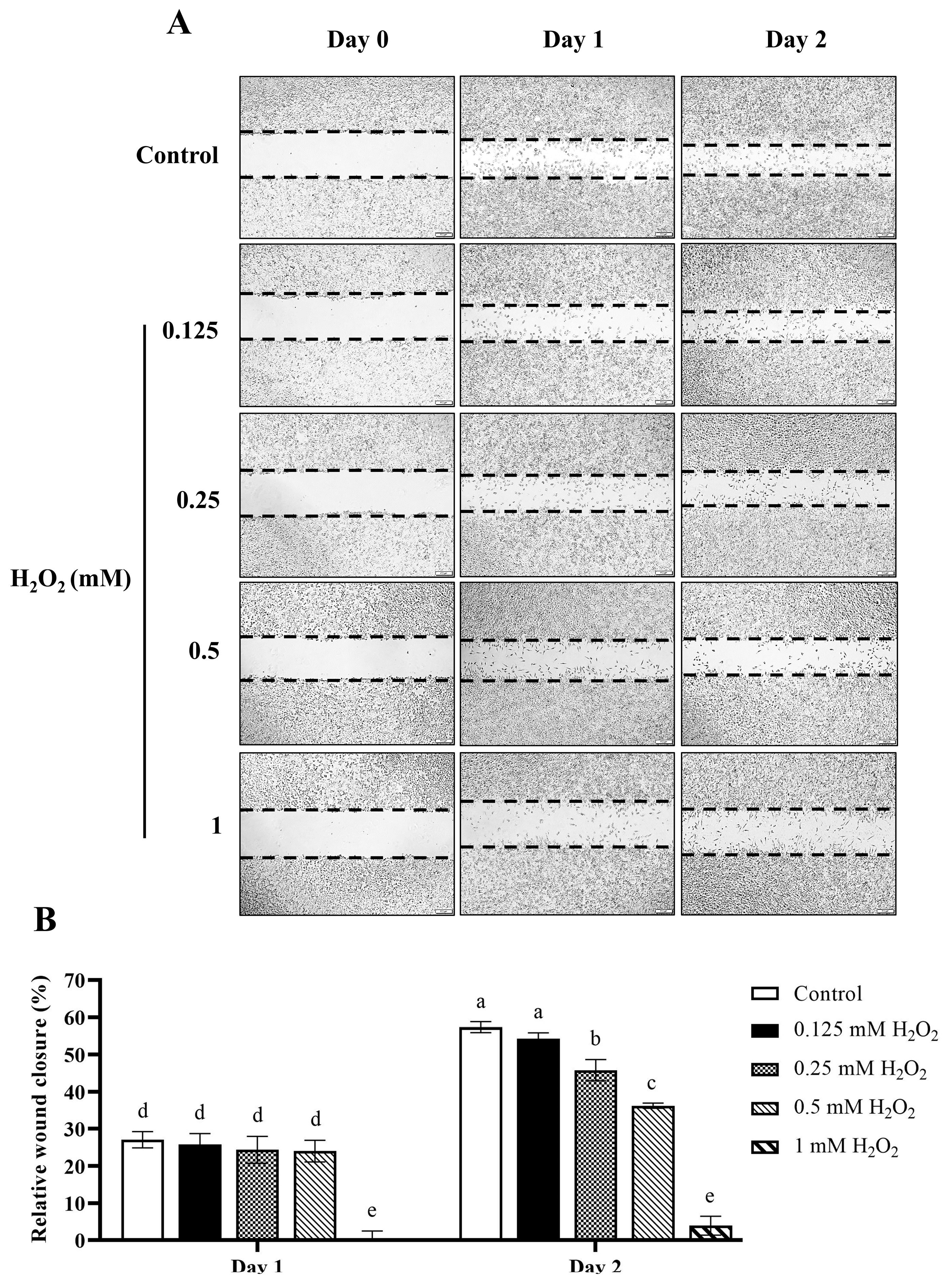 Antioxidants 13 01094 g008