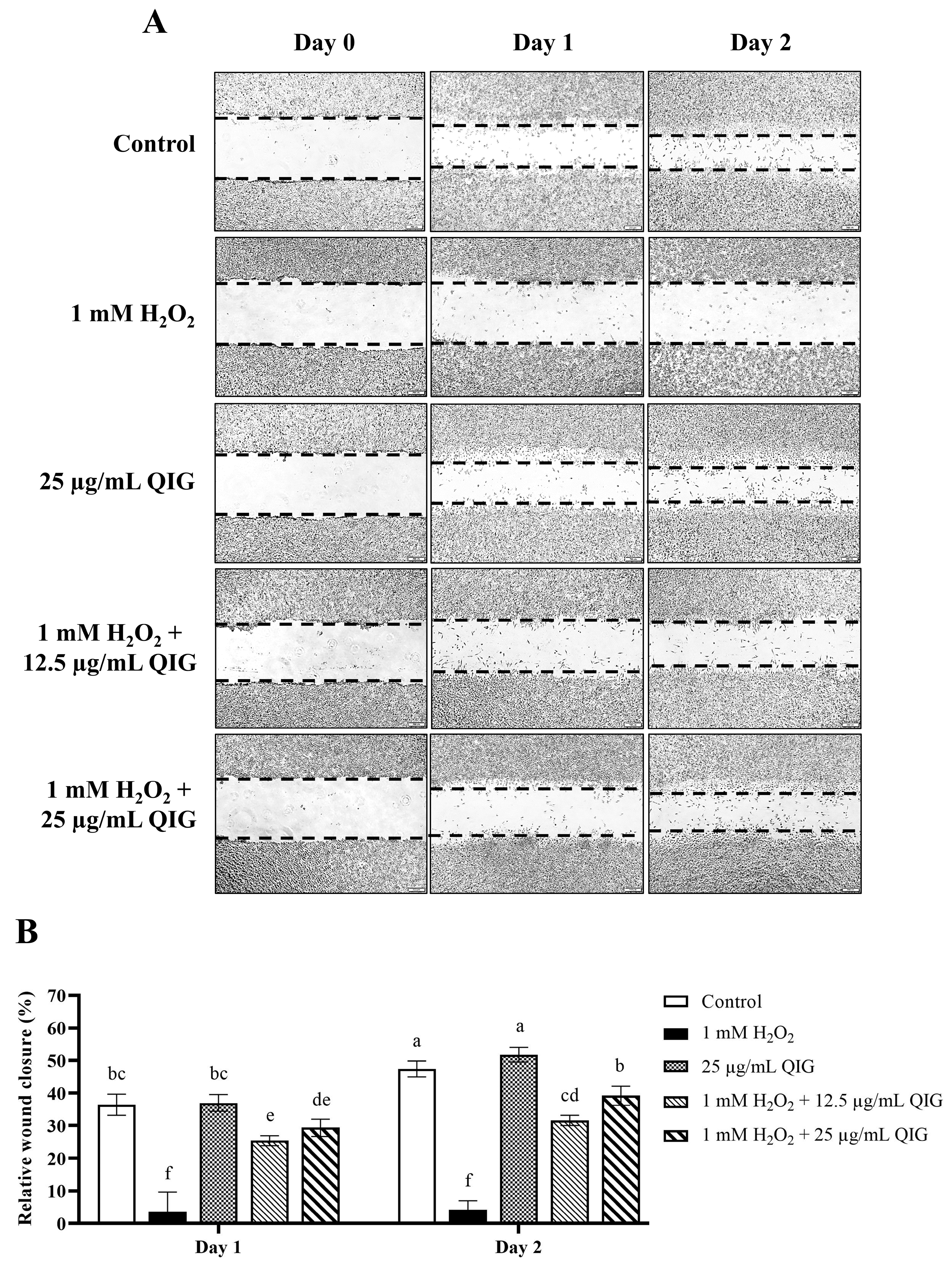 Antioxidants 13 01094 g009