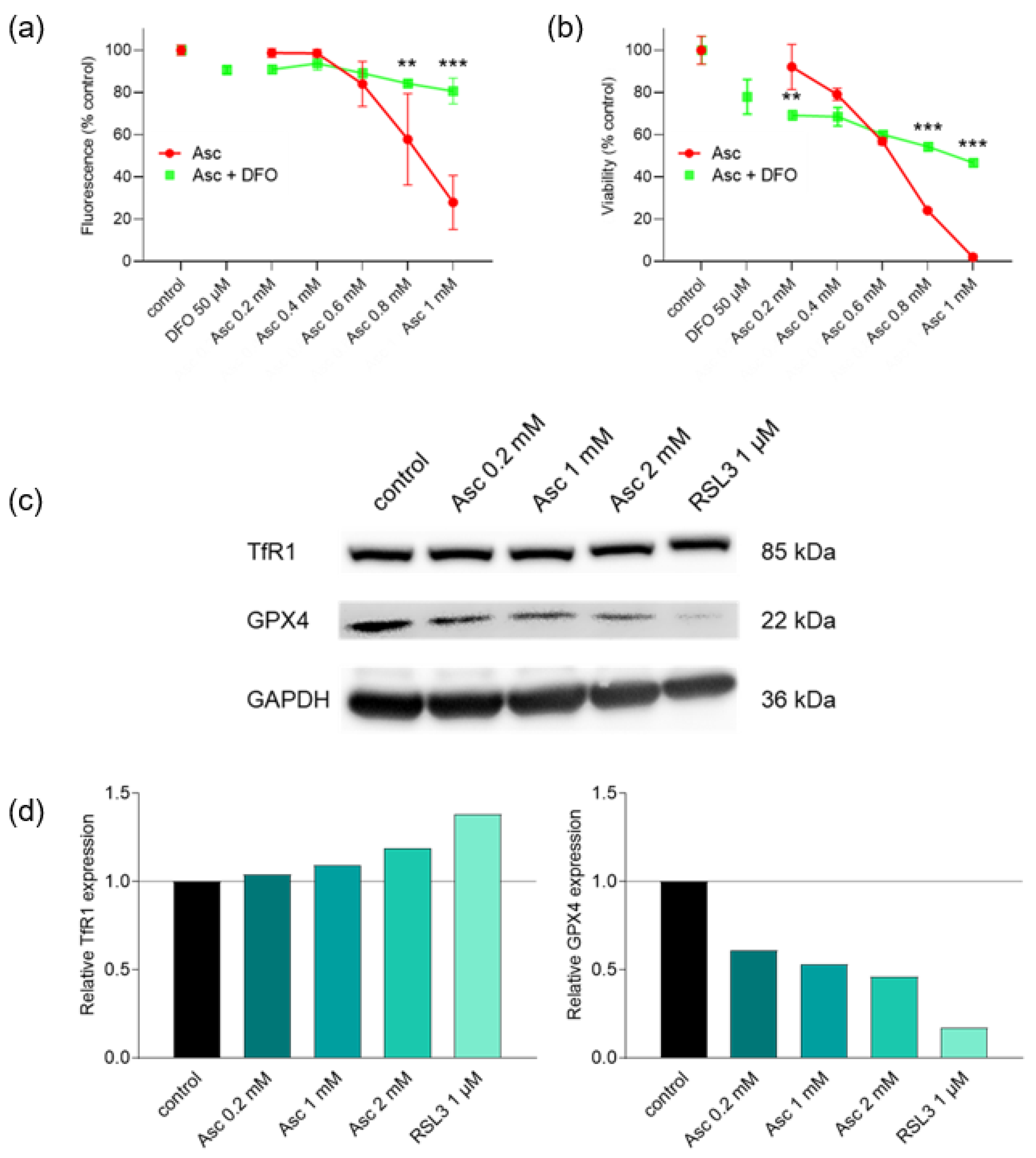 Antioxidants 13 01095 g005