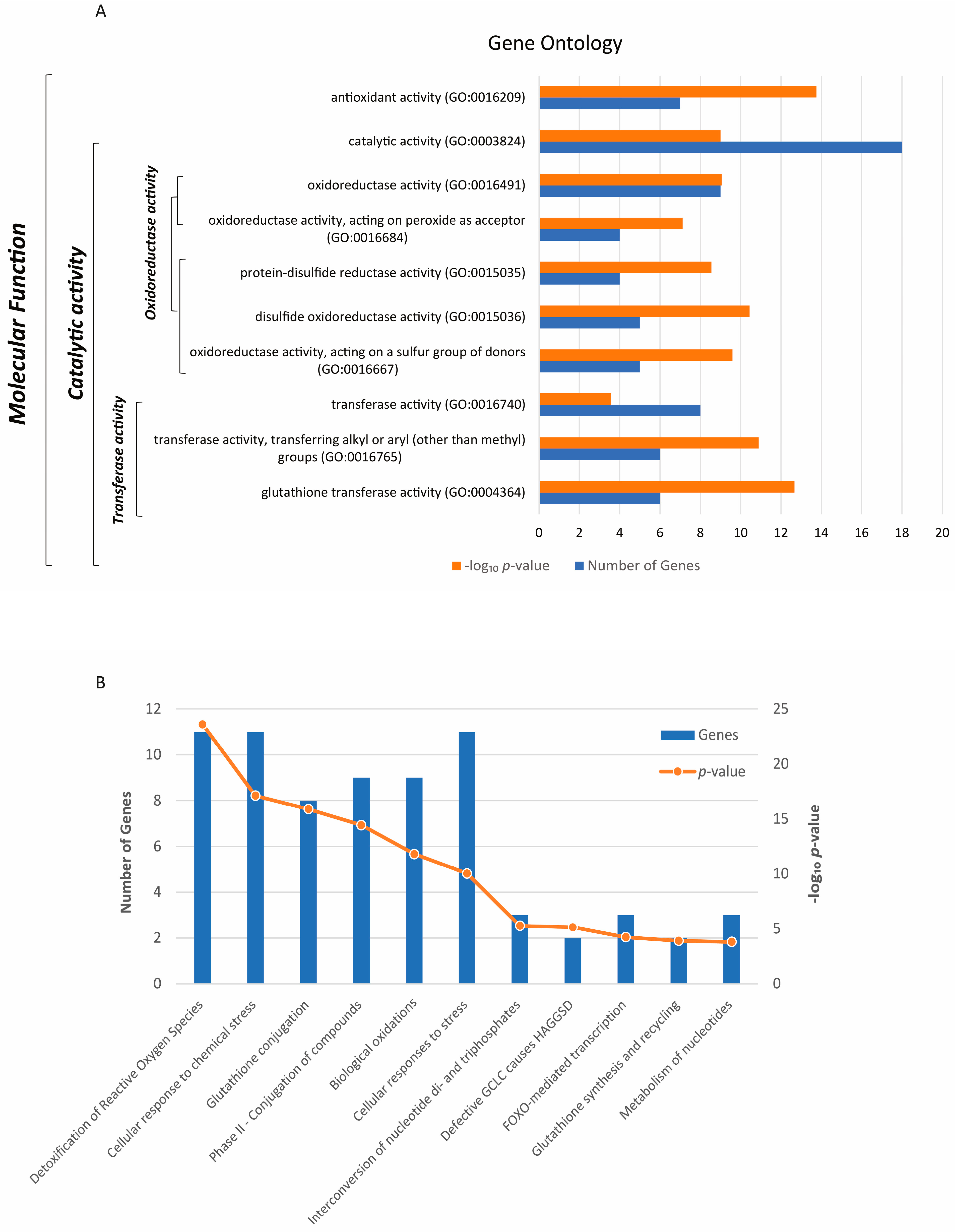 Antioxidants 13 01101 g001 Antioxidants 13 01101 g001