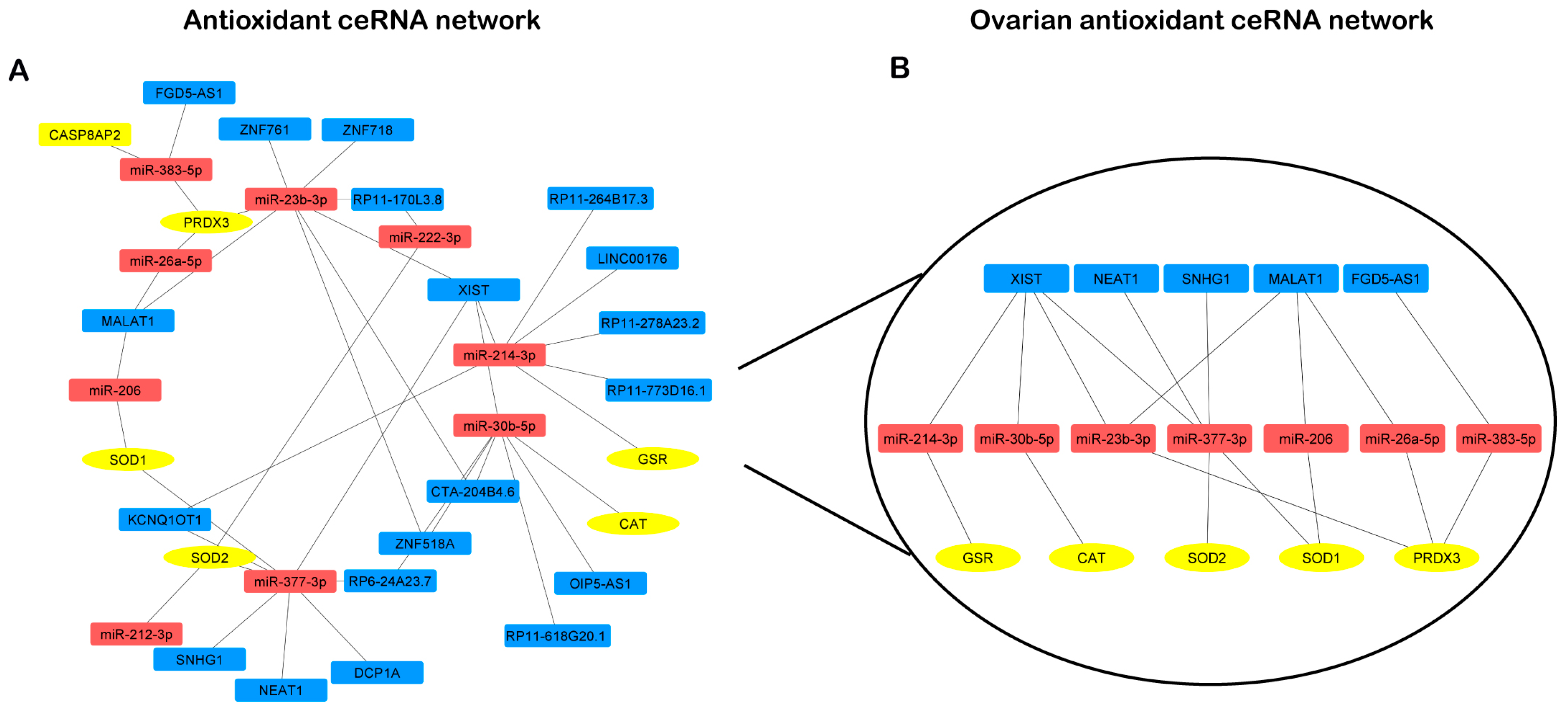 Antioxidants 13 01101 g005 Antioxidants 13 01101 g005