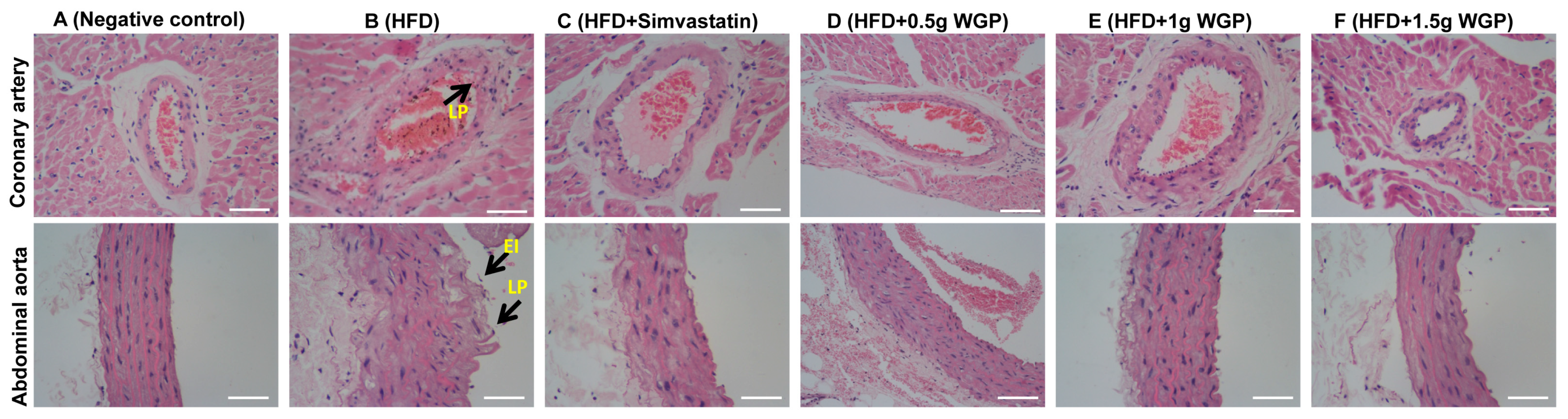Antioxidants 13 01104 g007