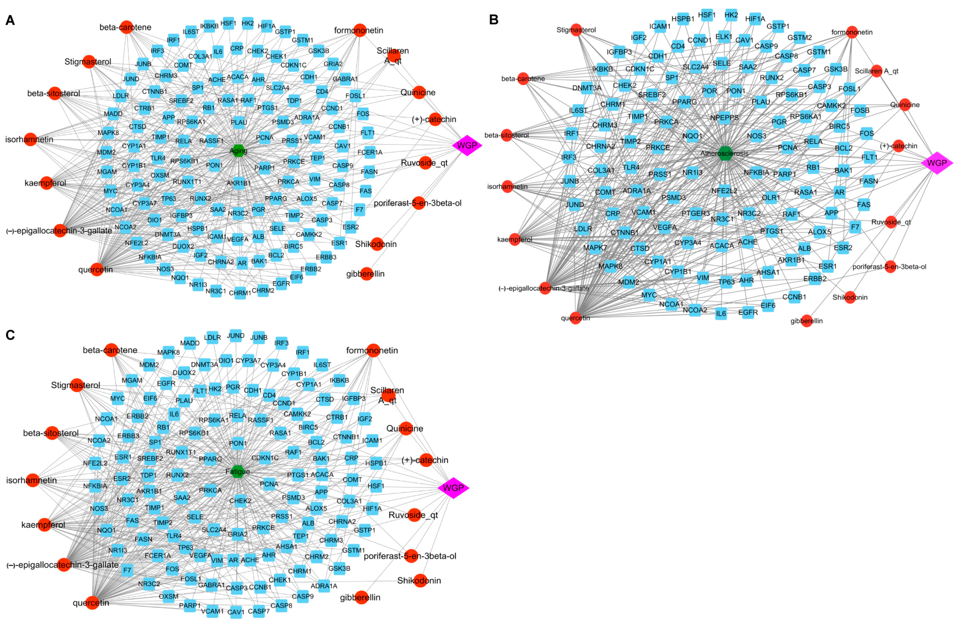 Antioxidants 13 01104 g010