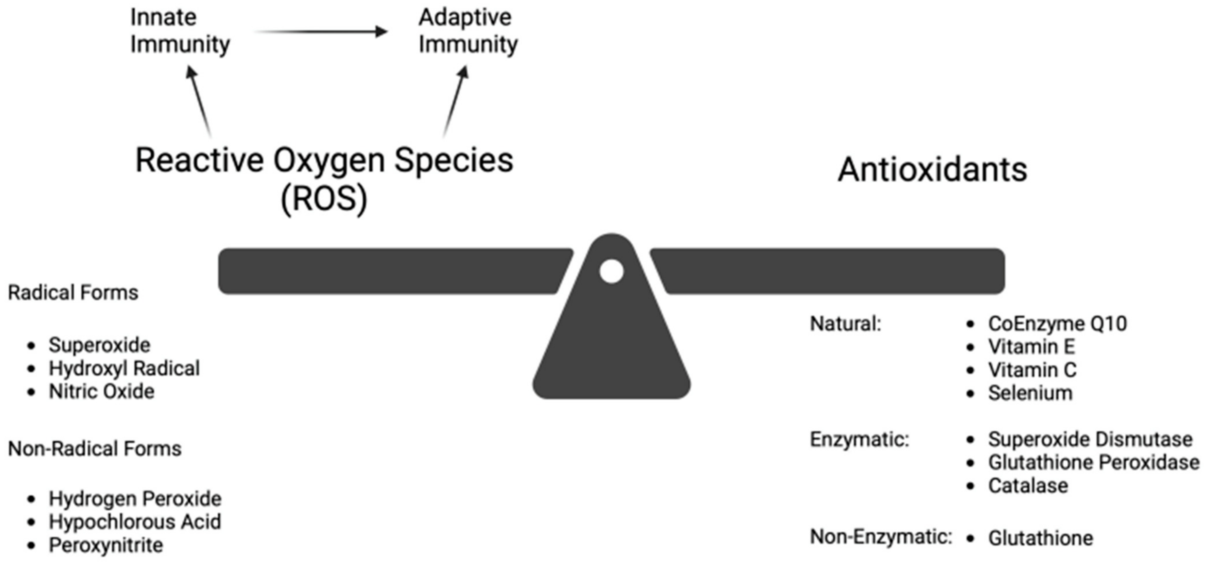Antioxidants 13 01106 g001 Antioxidants 13 01106 g001