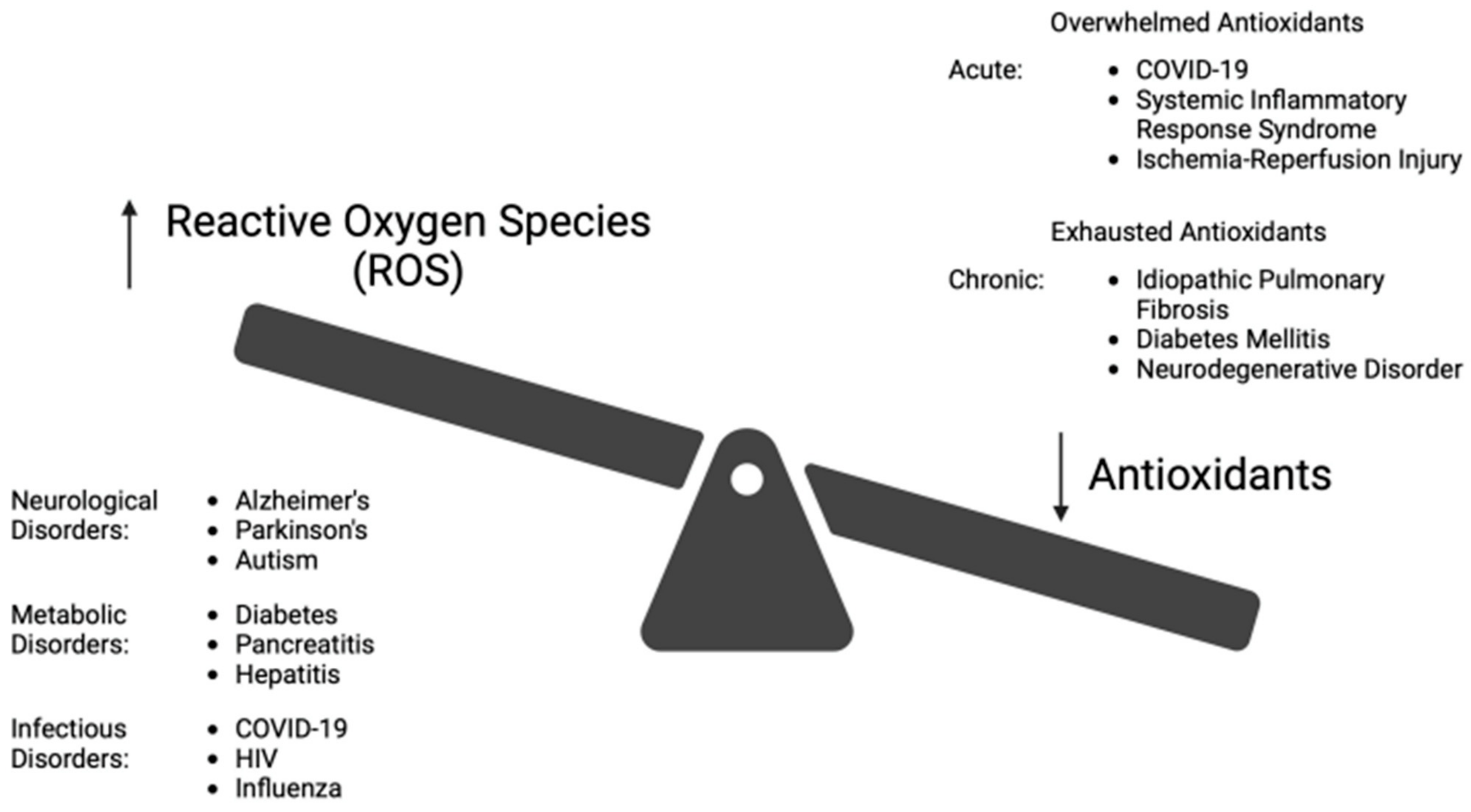 Antioxidants 13 01106 g002 Antioxidants 13 01106 g002