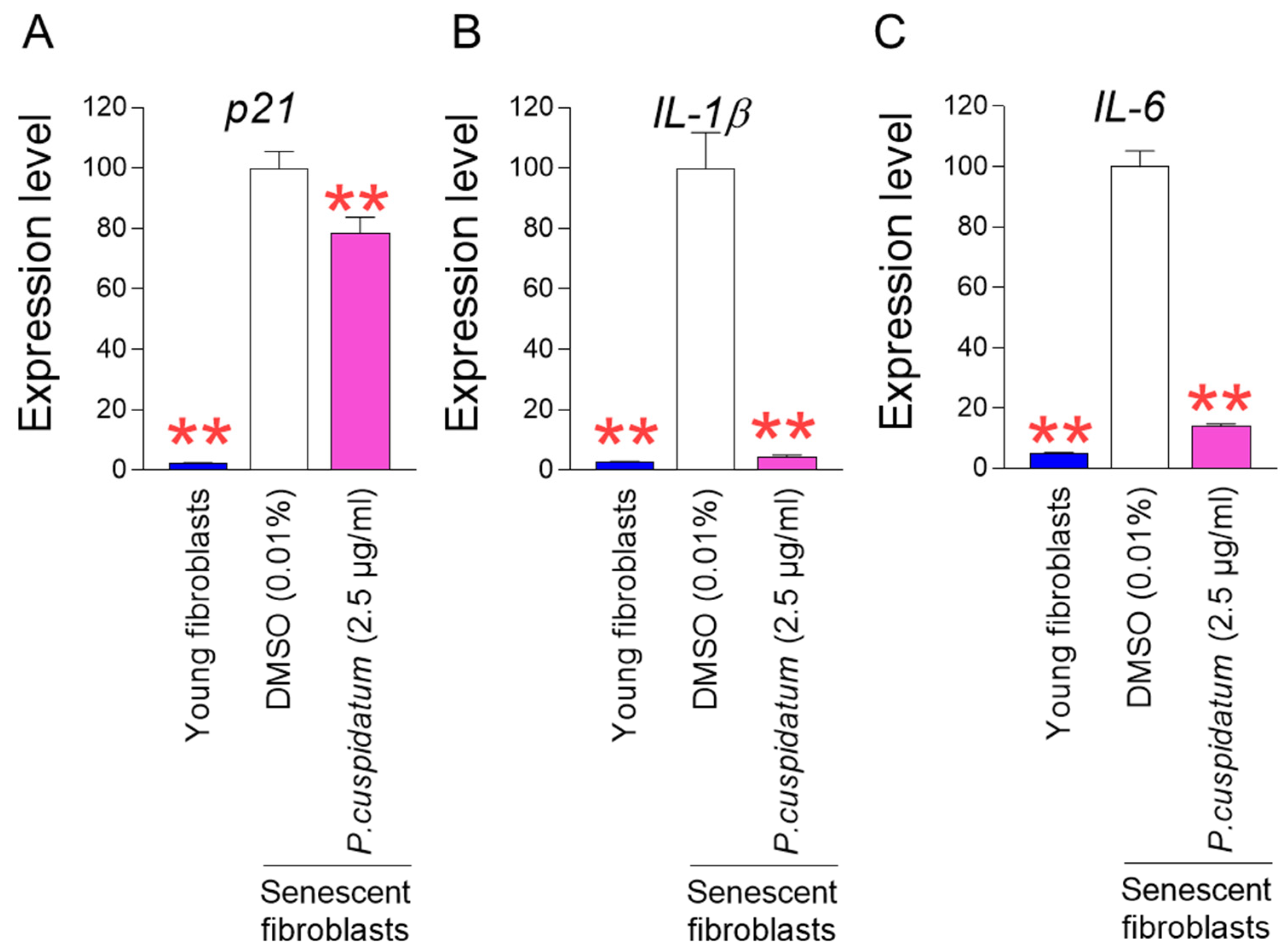 Antioxidants 13 01110 g002 Antioxidants 13 01110 g002