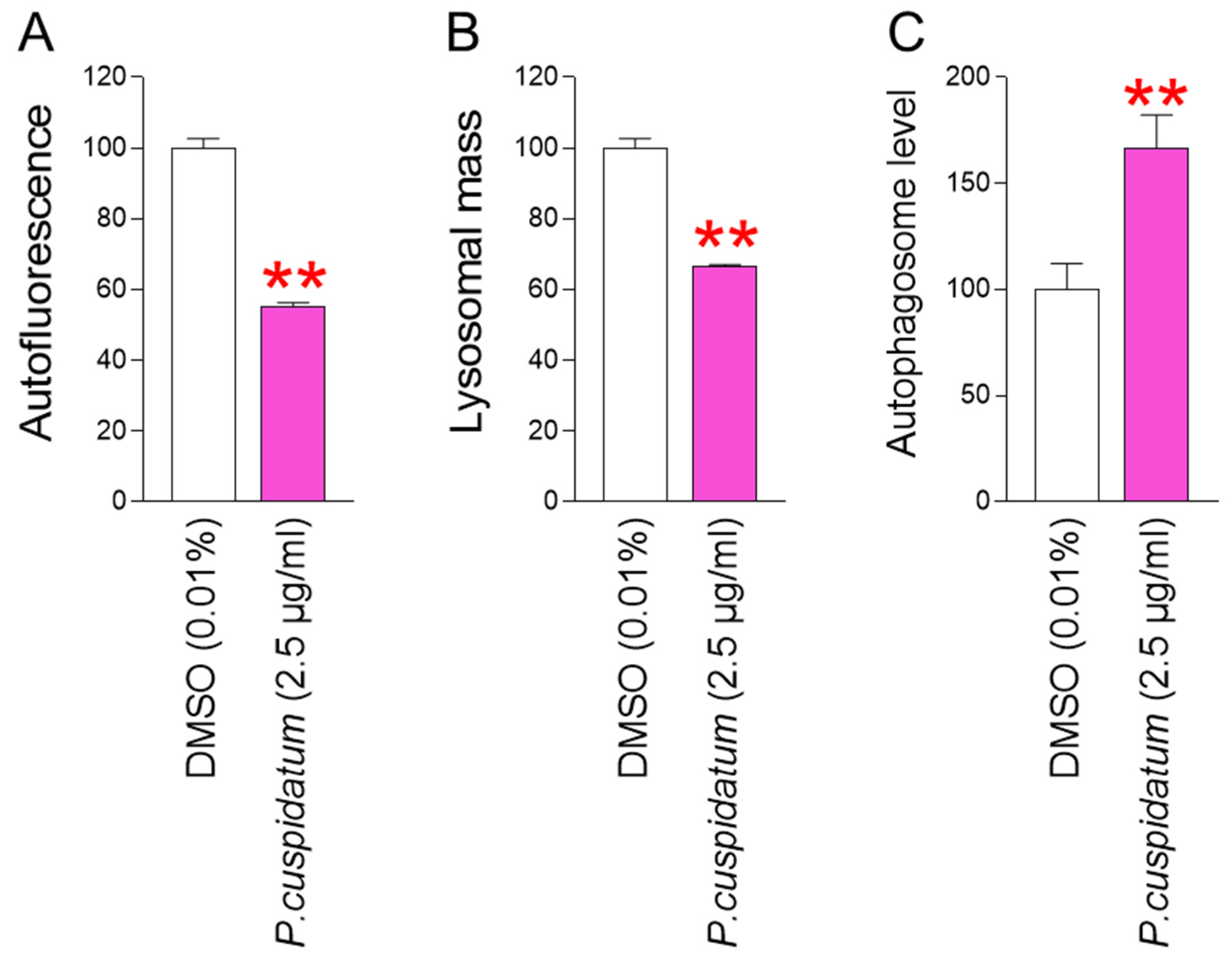 Antioxidants 13 01110 g004 Antioxidants 13 01110 g004