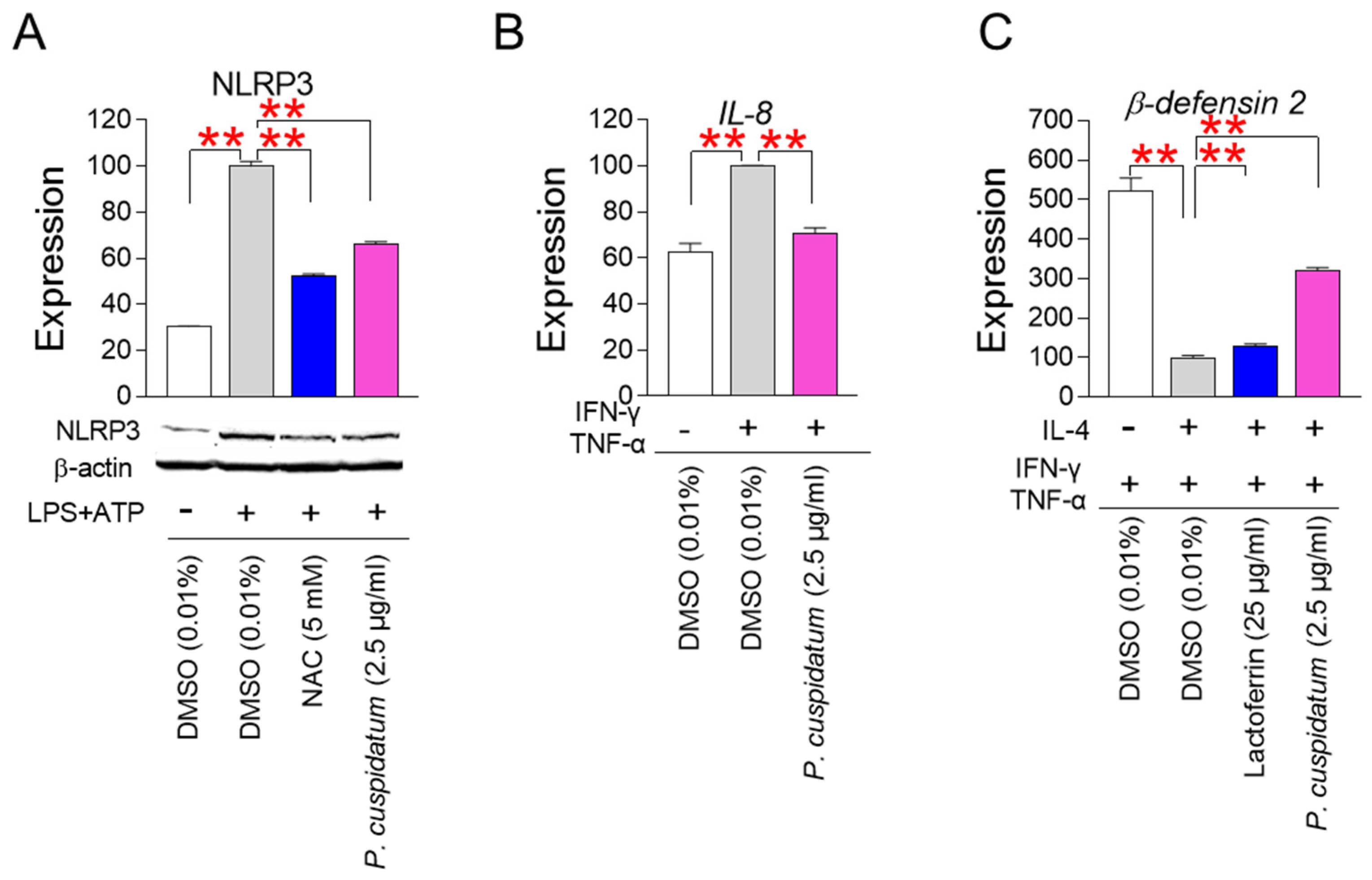 Antioxidants 13 01110 g007 Antioxidants 13 01110 g007