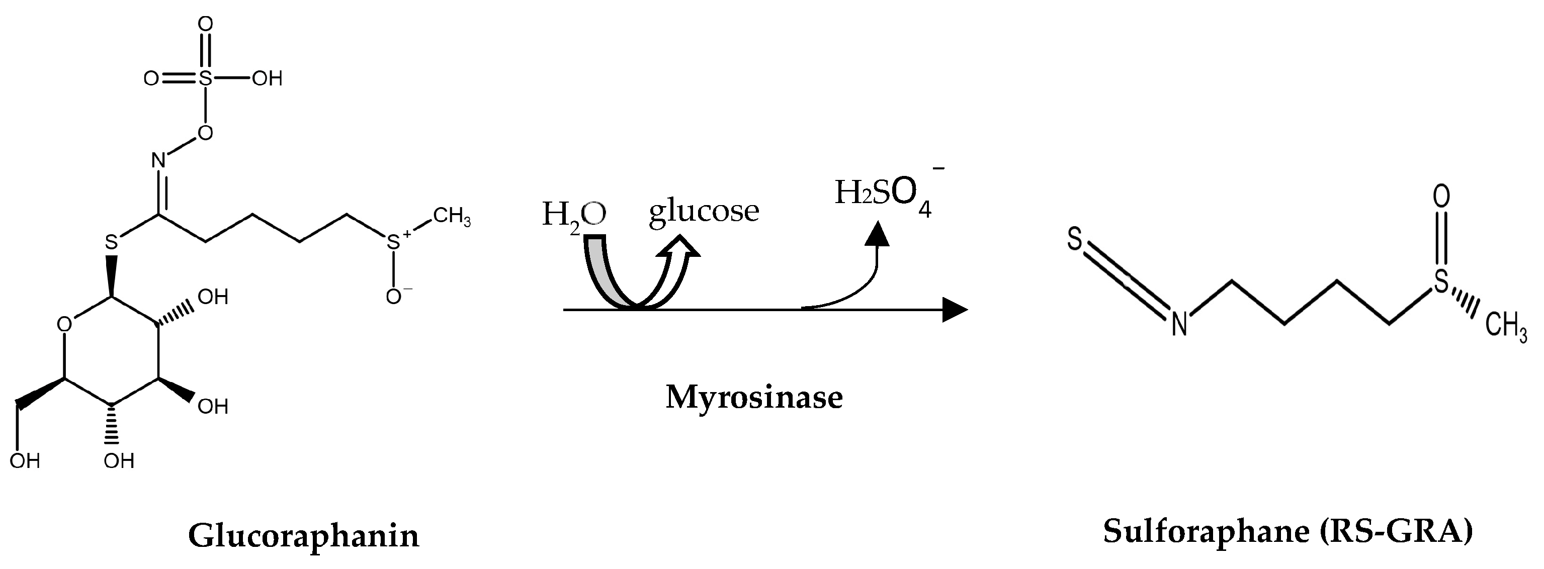 Antioxidants 13 01111 g001